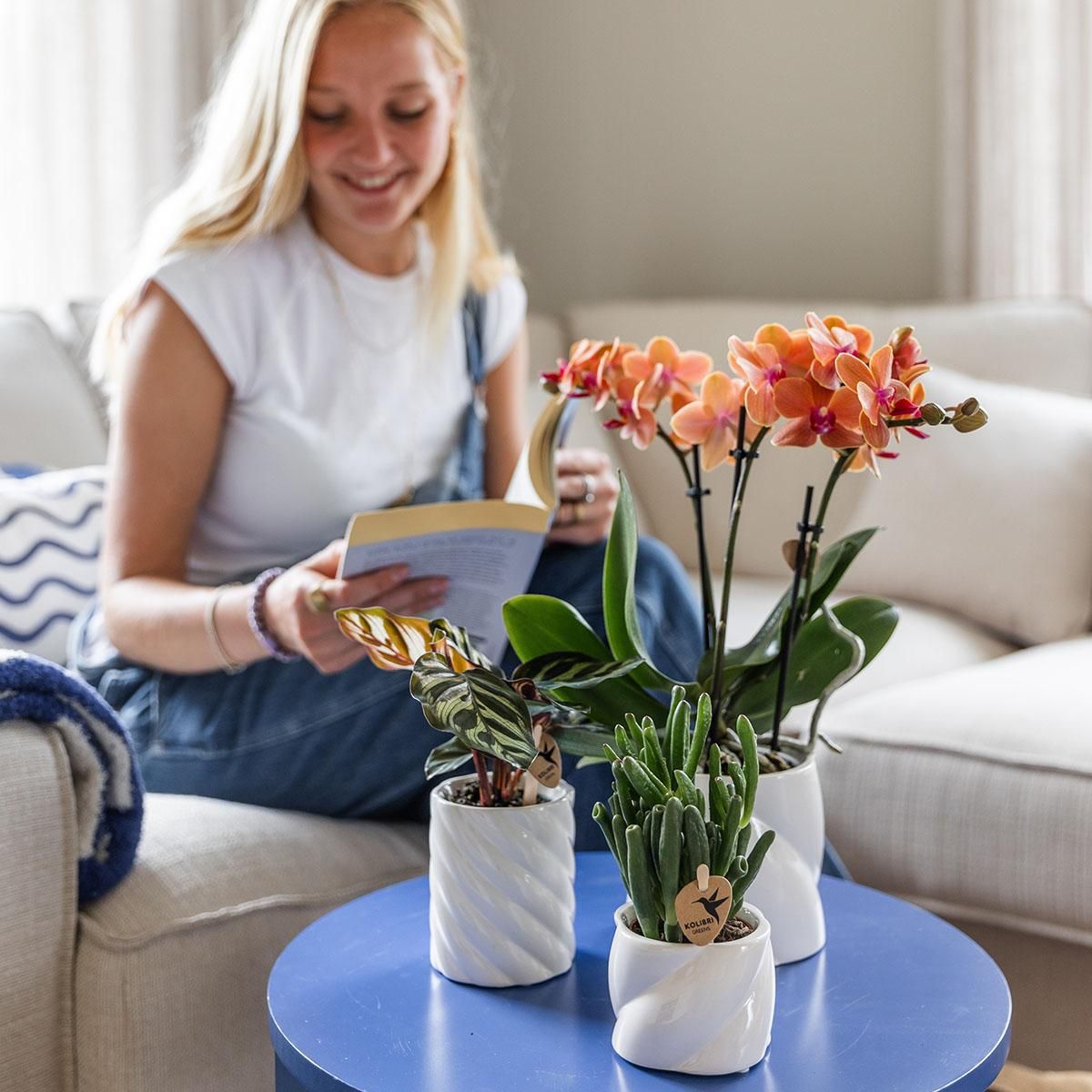 Kolibri Home | Candy sierpot - White - Ø9cm (8785279222910)
