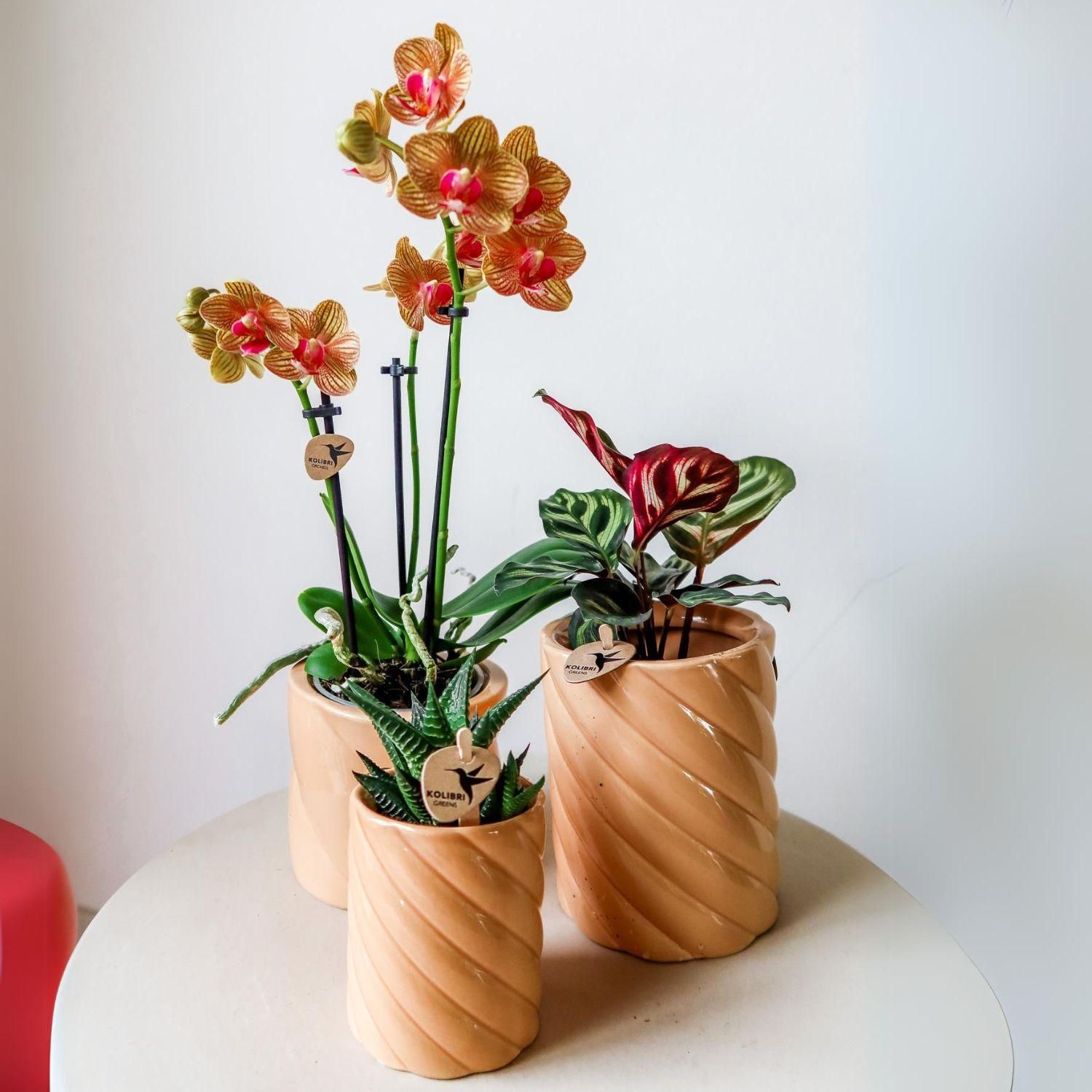 Kolibri Home | Candy sierpot | Hoog - Peach - Ø9cm (8785279222941)