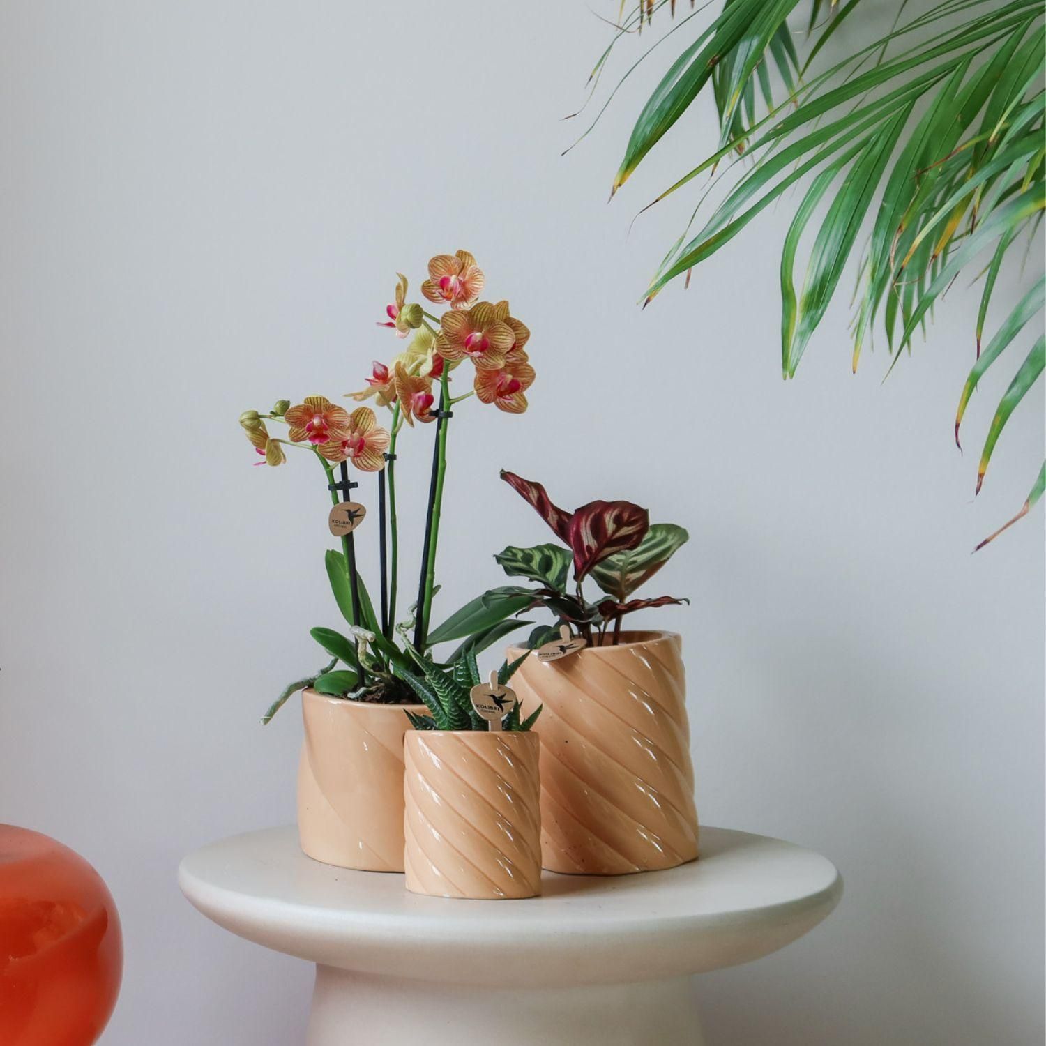 Kolibri Home | Candy sierpot | Hoog - Peach - Ø9cm (8785279222941)