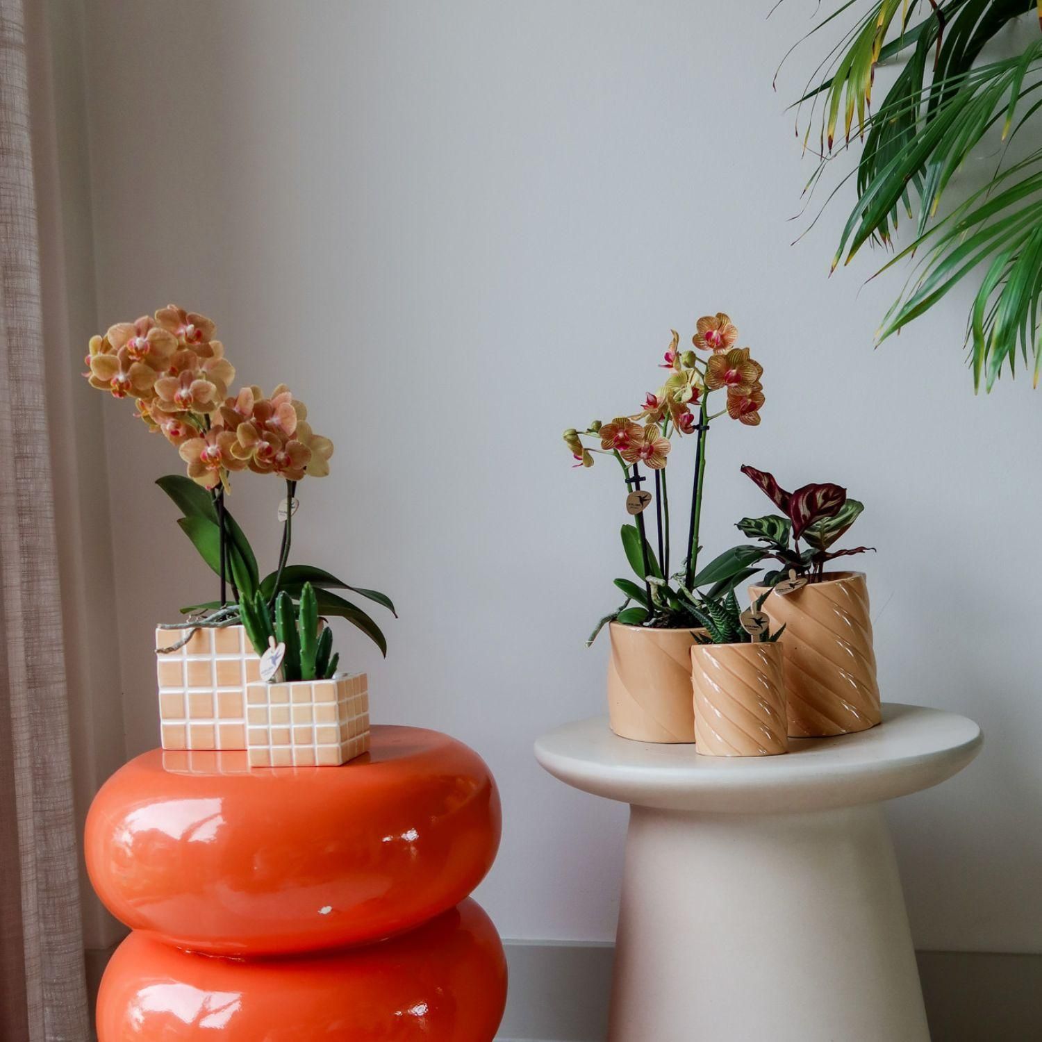 Kolibri Home | Candy sierpot | Hoog - Peach - Ø9cm (8785279222941)