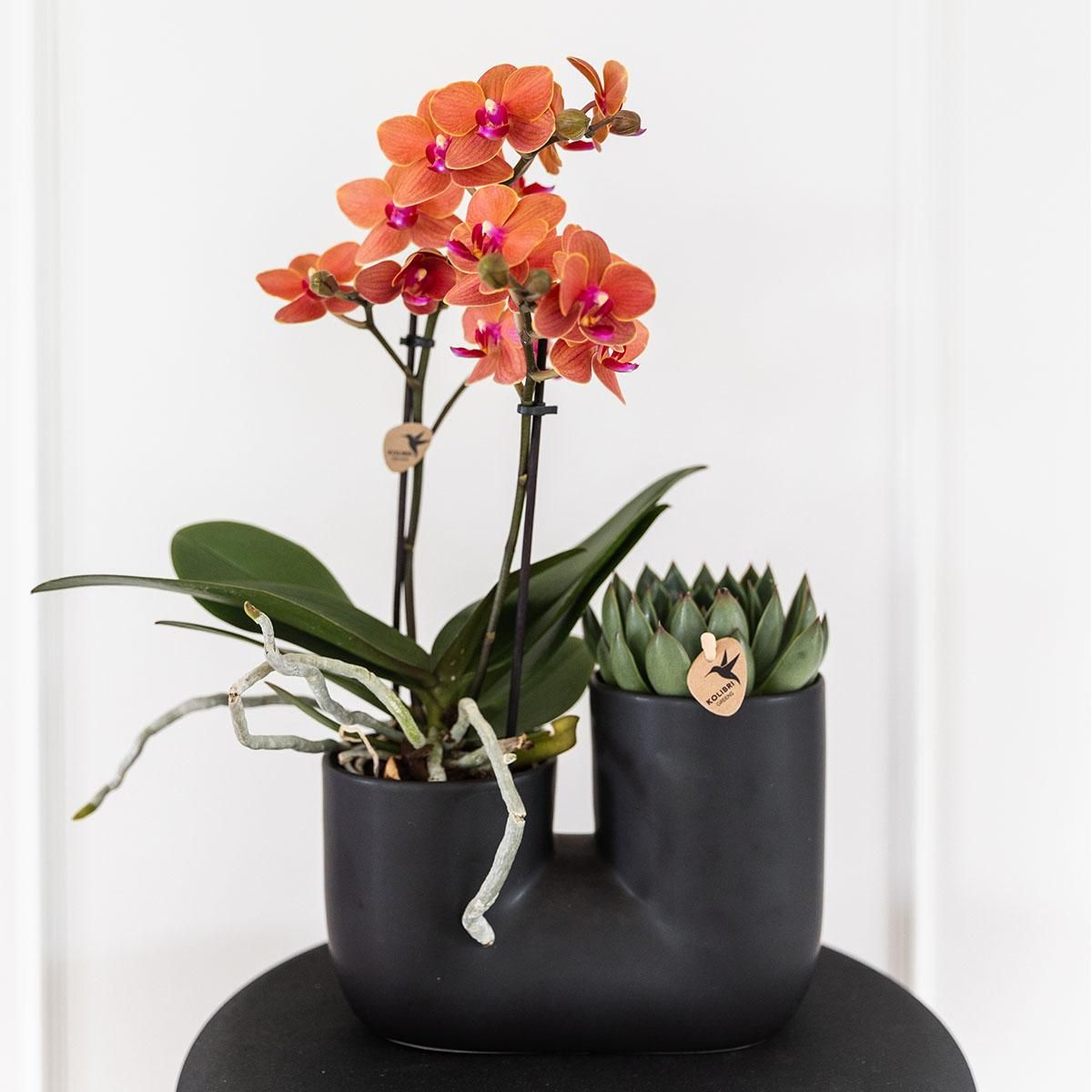 Kolibri Home | Tube sierpot - Black (8785279223764)