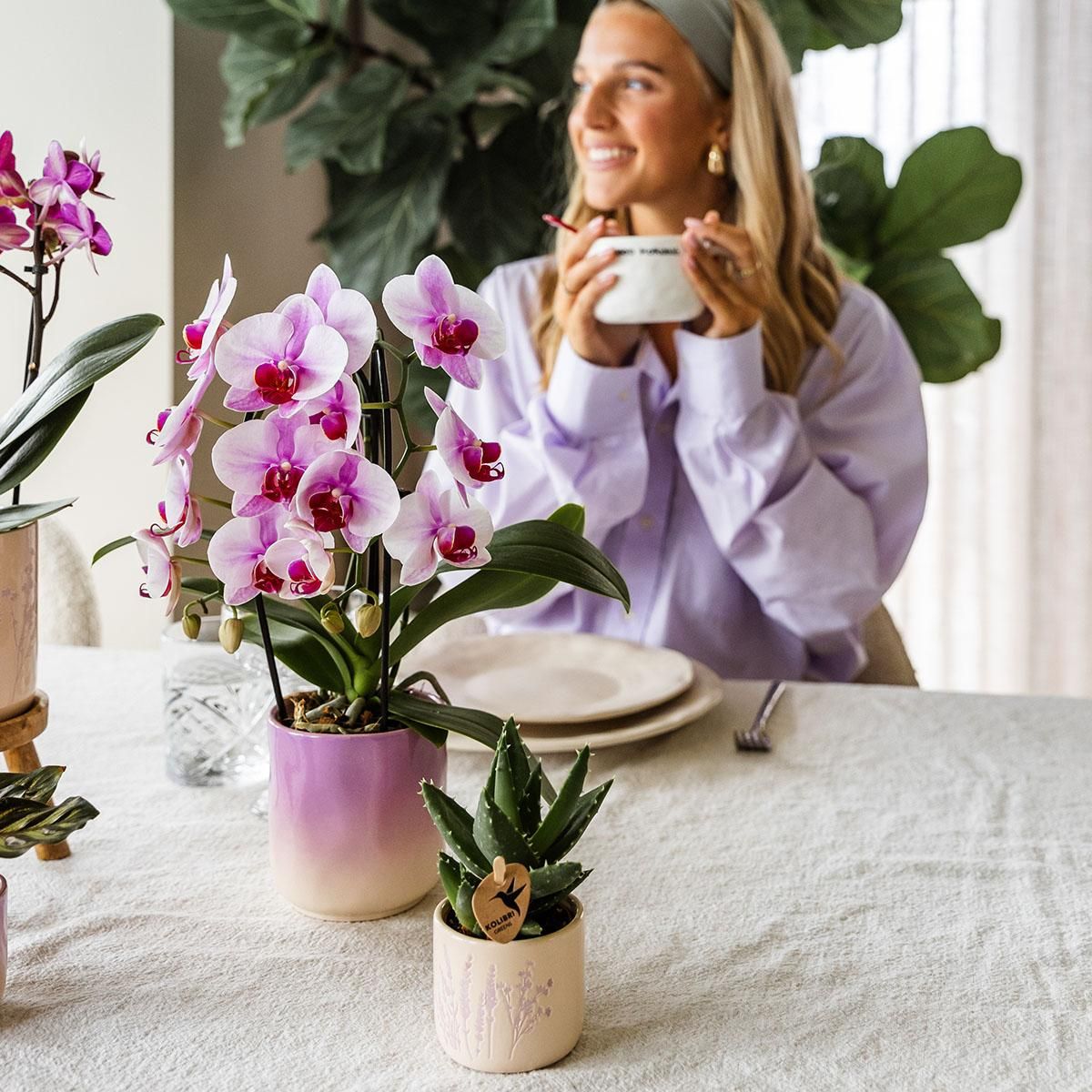 Kolibri Home | Gradience sierpot - Pink - Ø9cm (6152838482467)