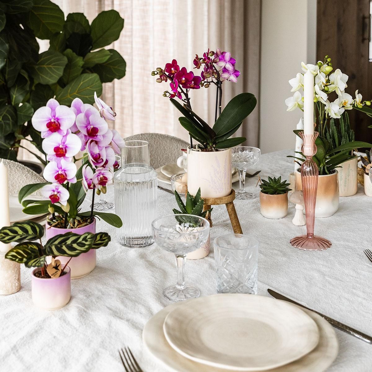 Kolibri Home | Gradience sierpot - Pink - Ø9cm (6152838482467)