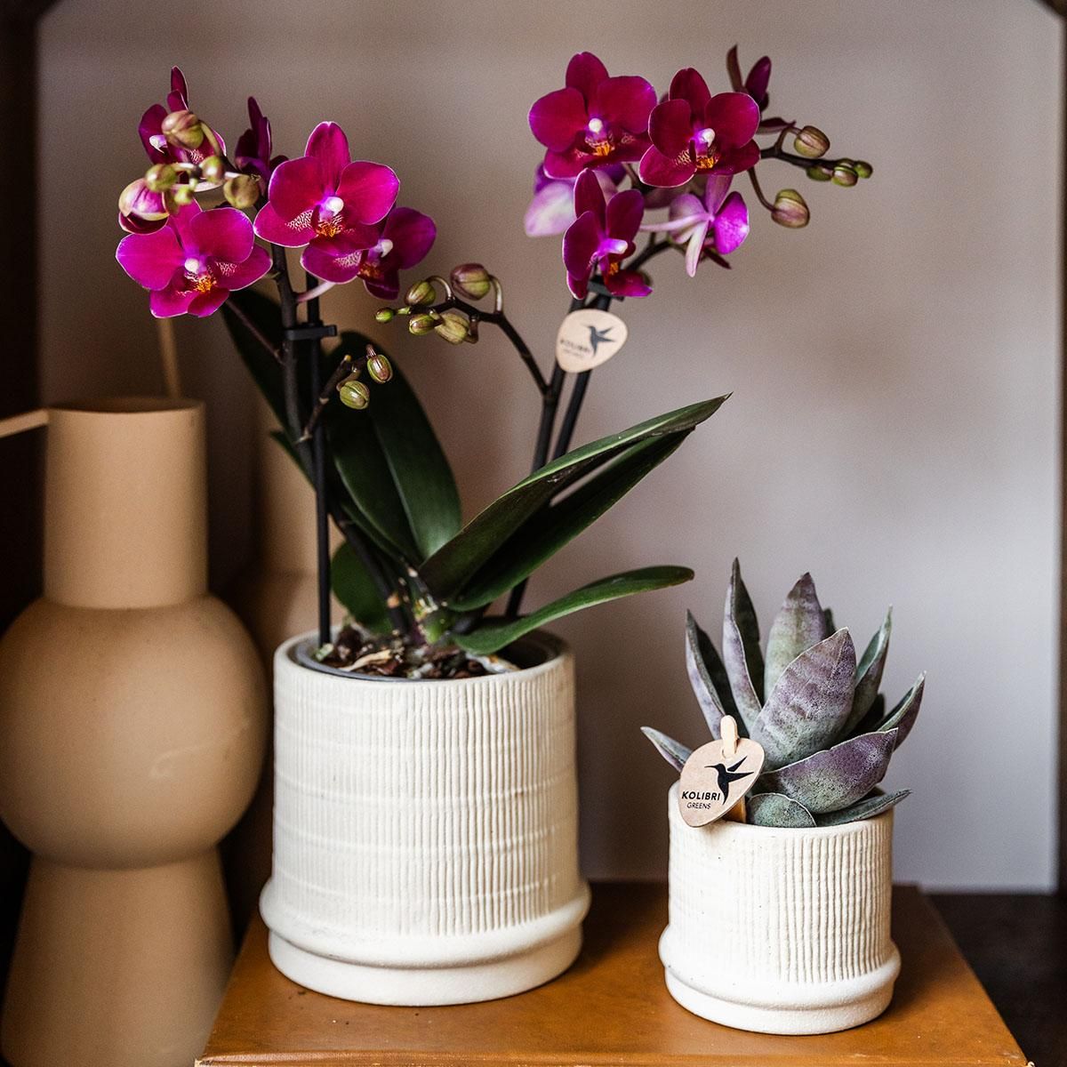 Kolibri Home | Bali sierpot - Off White - Ø9cm (8785279224068)