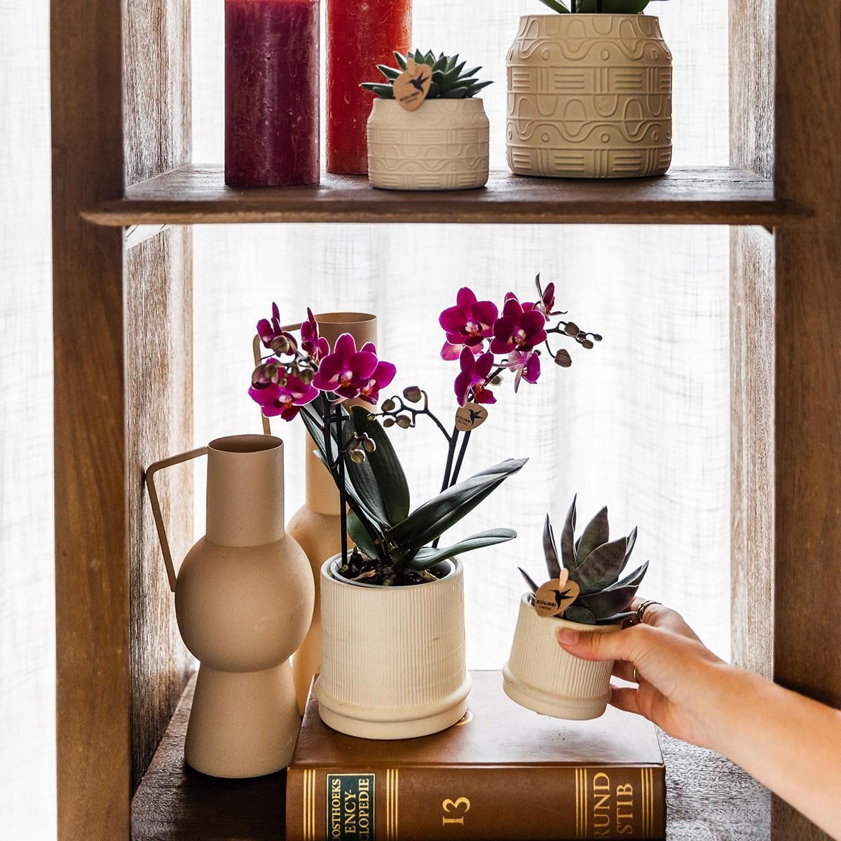 Kolibri Home | Bali sierpot - Off White - Ø9cm (8785279224068)