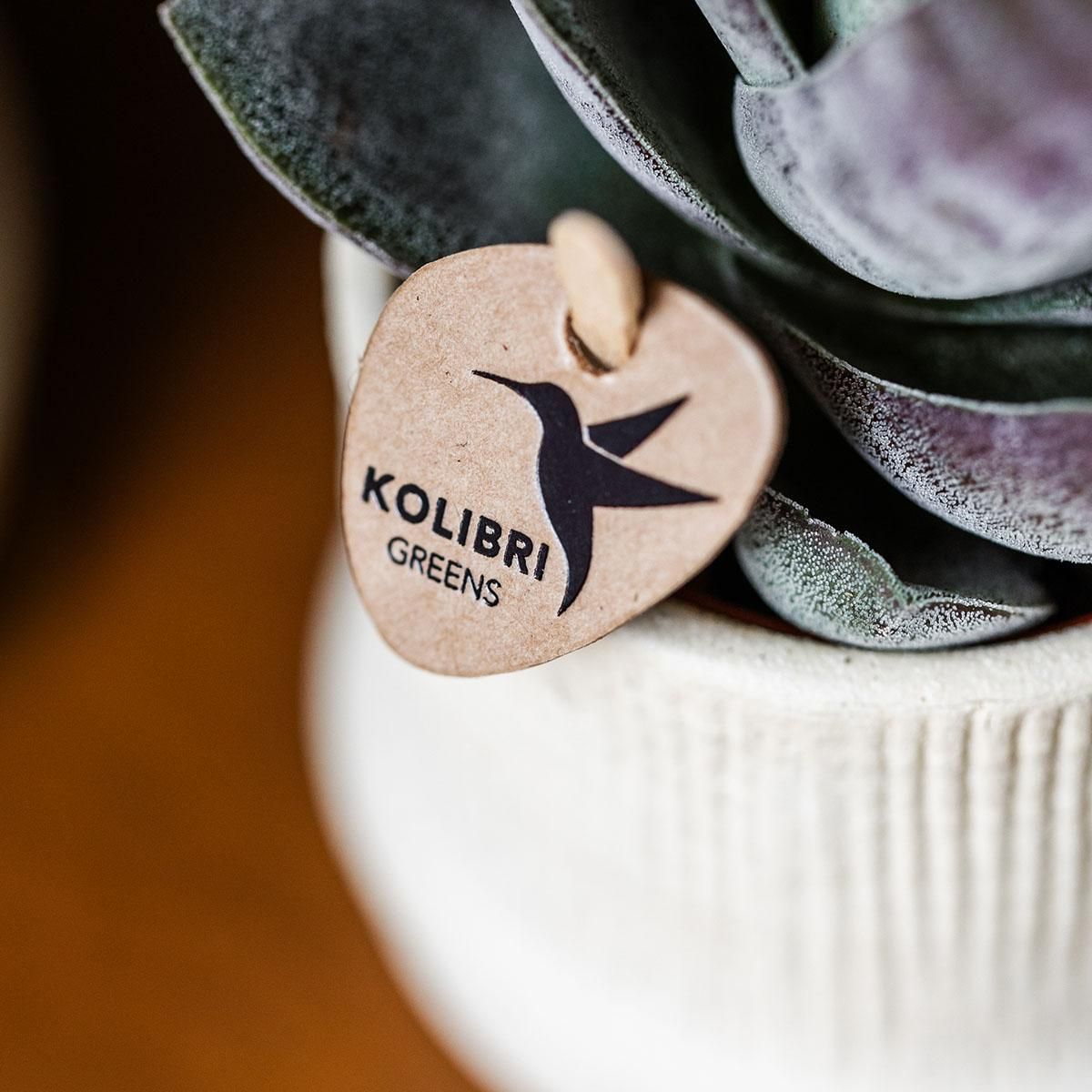 Kolibri Home | Bali sierpot - Off White - Ø9cm (8785279224068)