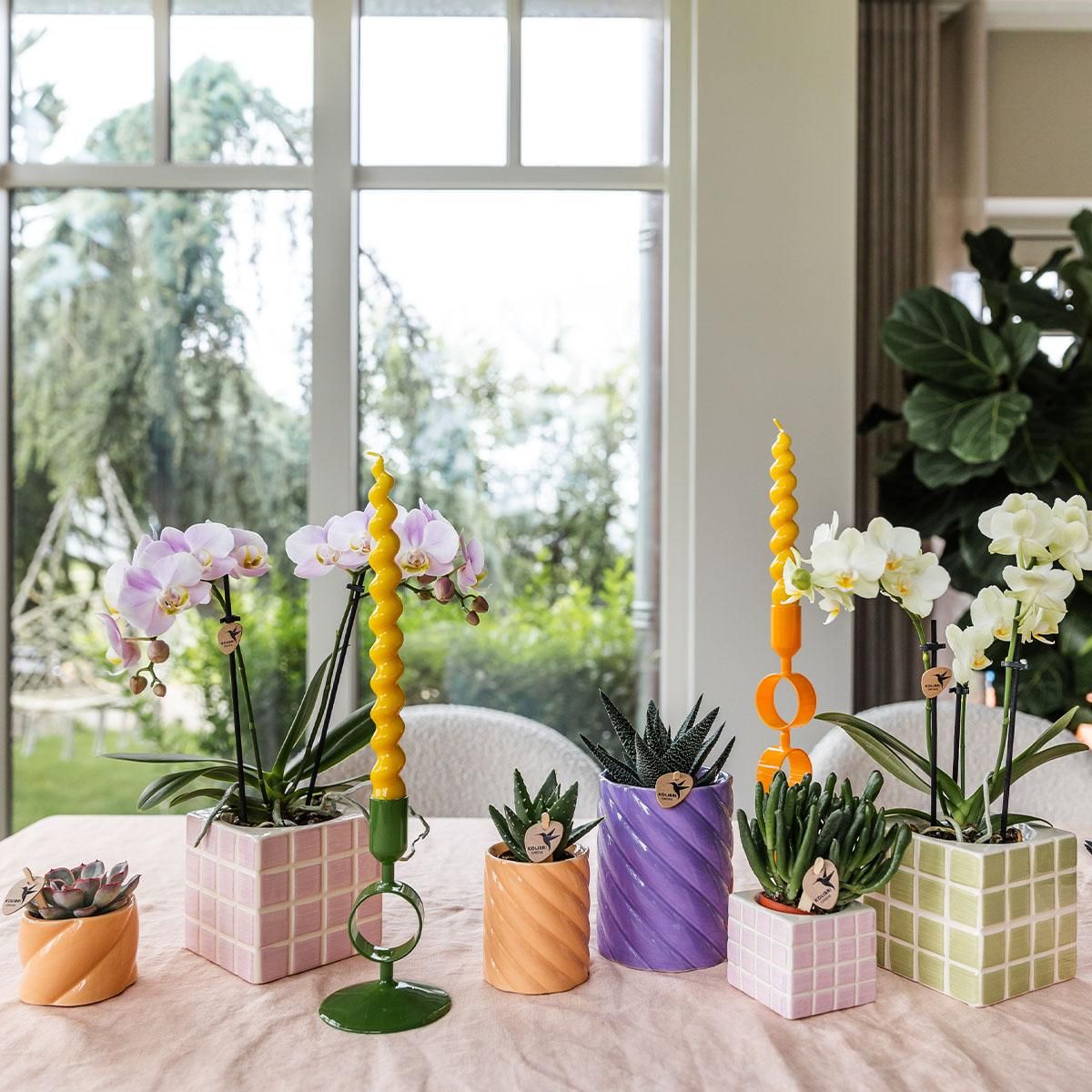 Kolibri Home | Candy sierpot | Hoog - Peach - Ø6cm (8785279223009)