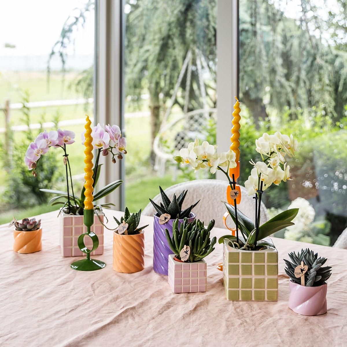 Kolibri Home | Candy sierpot | Hoog - Peach - Ø6cm (8785279223009)