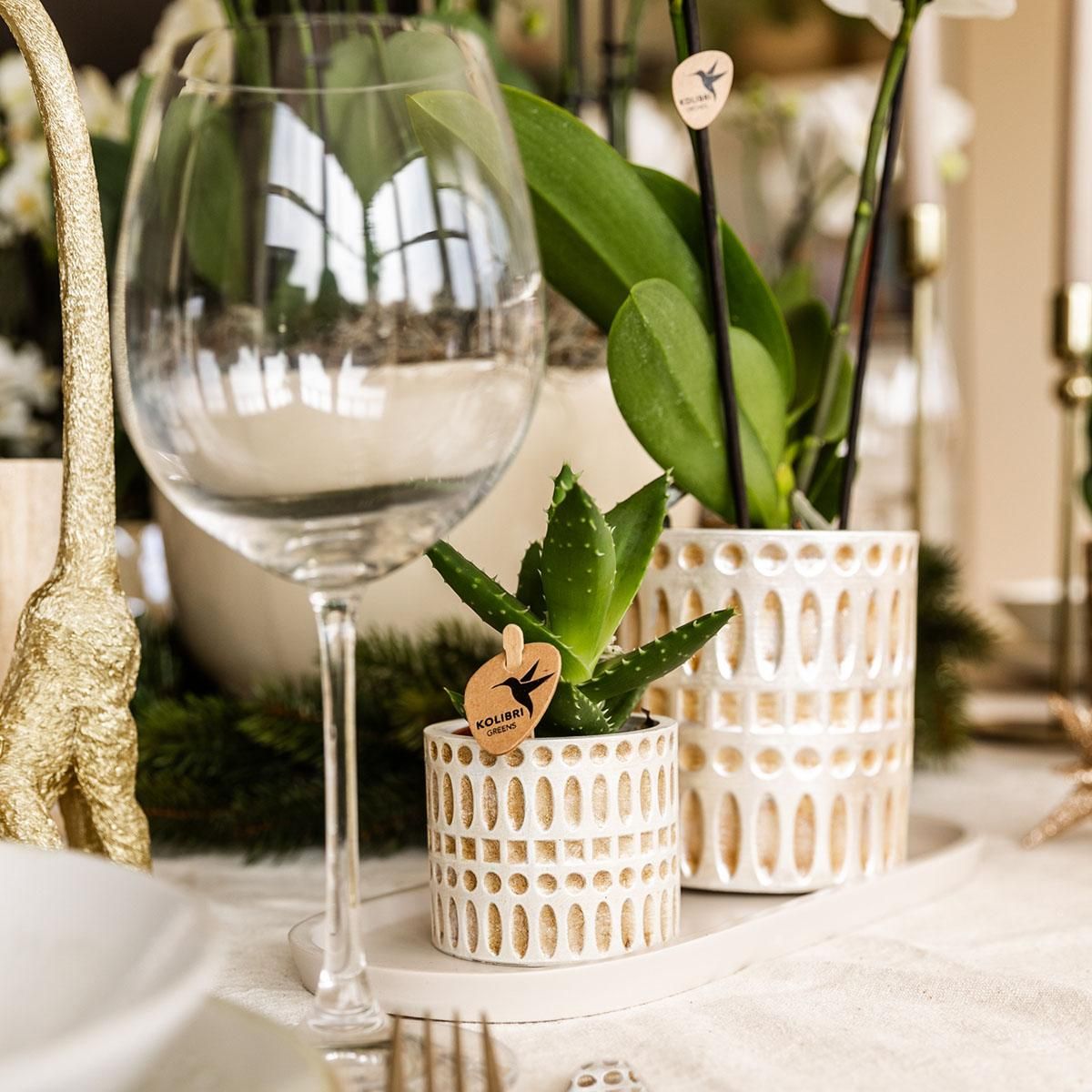 Kolibri Home | Mozaïek sierpot - Ø6cm (7865885232419)