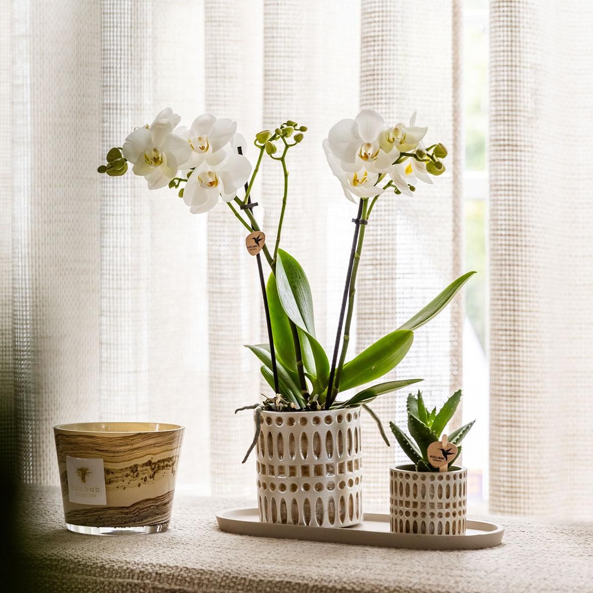 Kolibri Home | Mozaïek sierpot - Ø6cm (7865885232419)