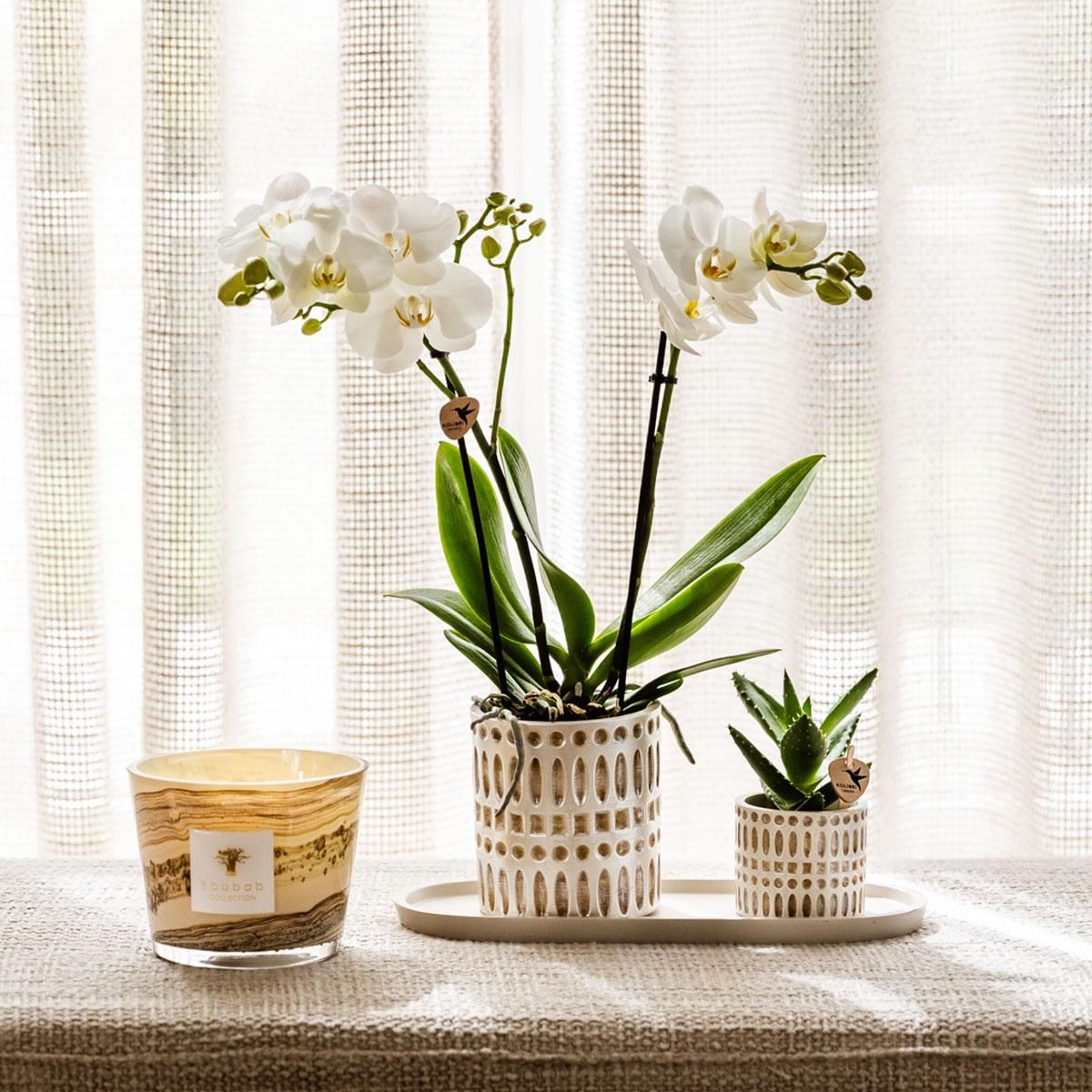 Kolibri Home | Mozaïek sierpot - Ø6cm (7865885232419)