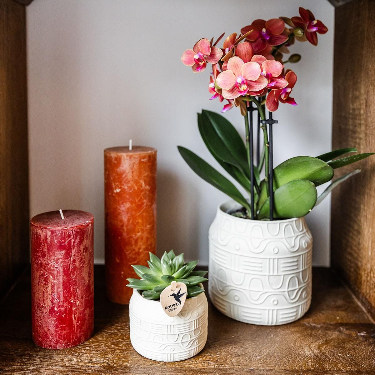 Kolibri Home | Hyroglyph sierpot - Off White - Ø6cm (8785279224099)