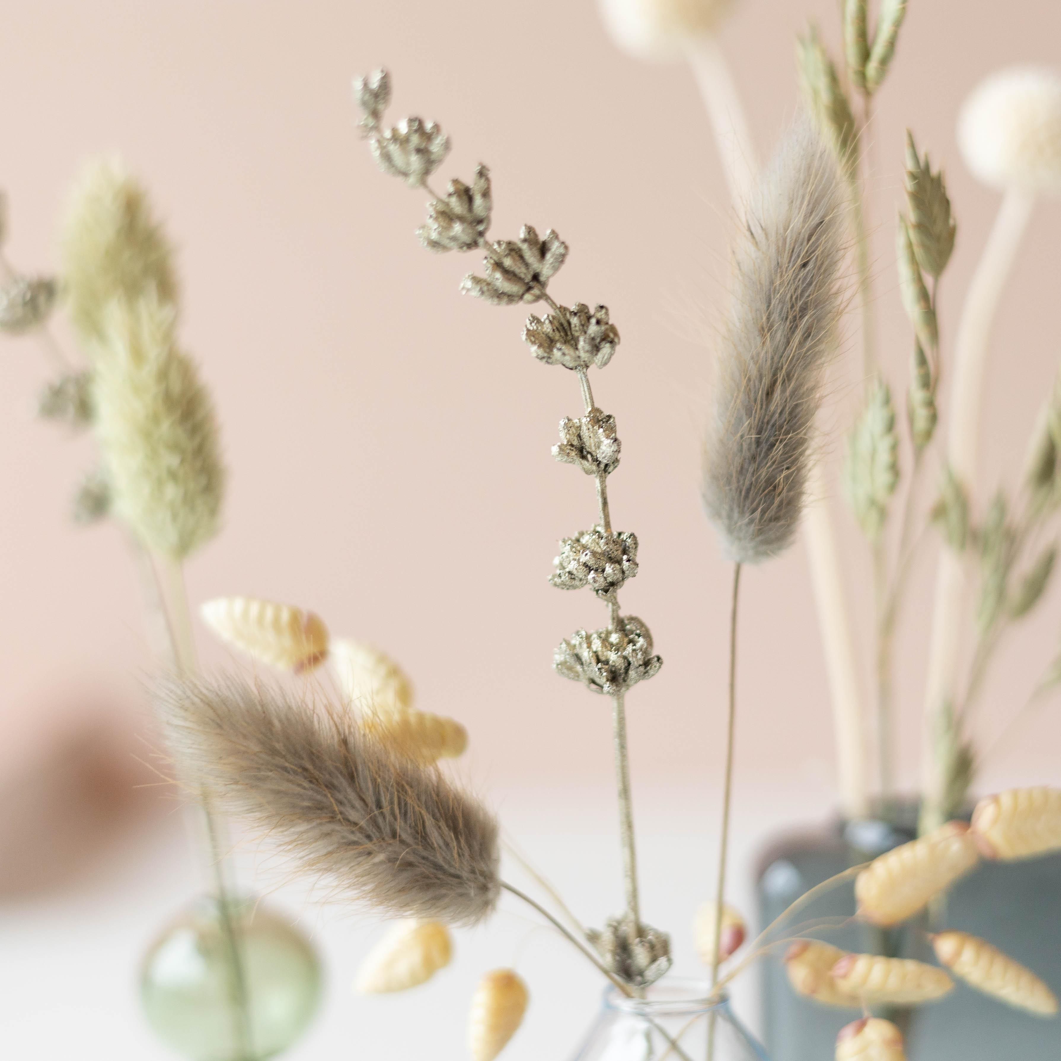 Dried Beauty - droogbloemen met vaasjes (8721042061461)