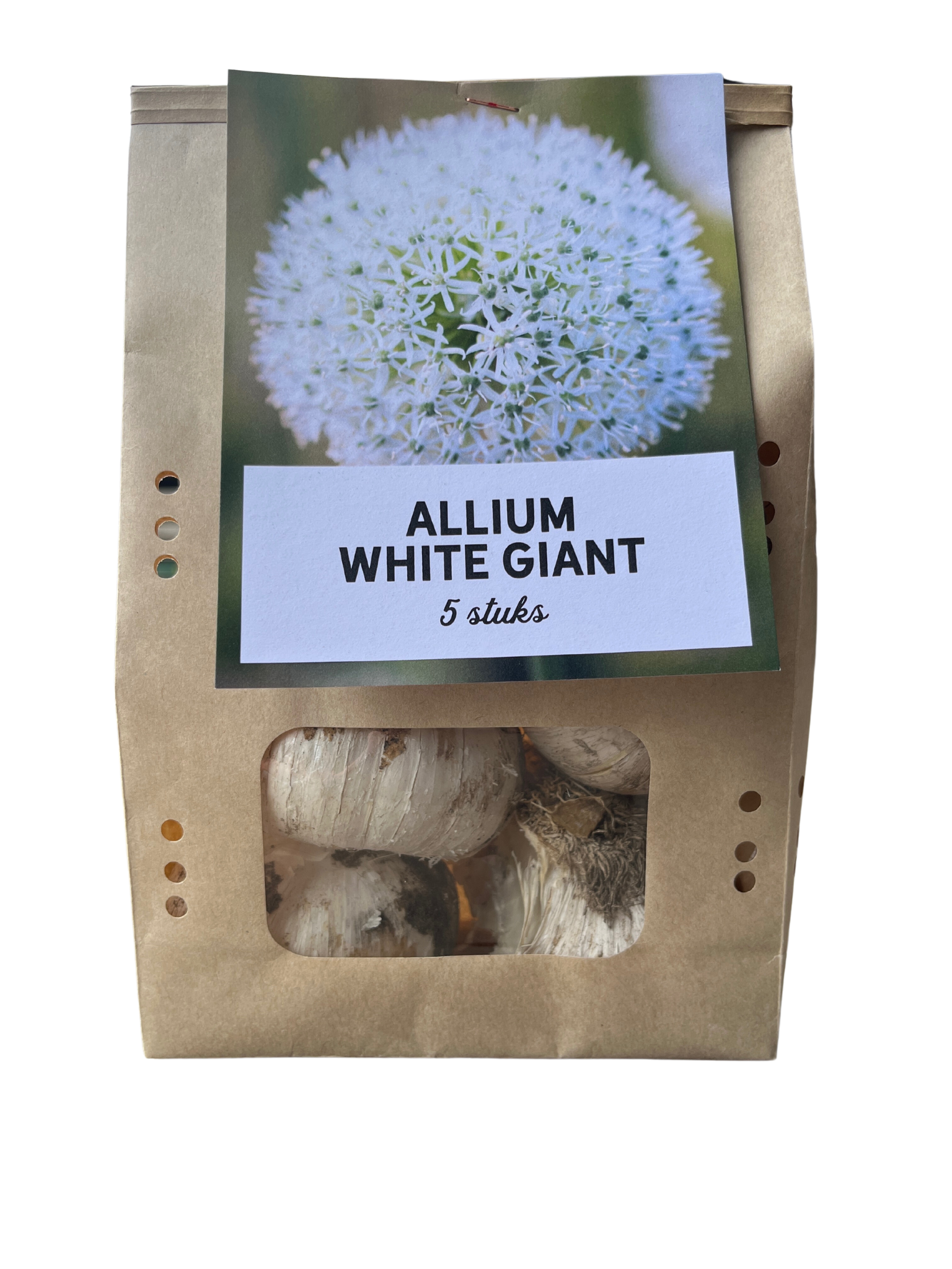 Kh bloembollen White Giant - Allium bollen 5 stuks (08720256864608)