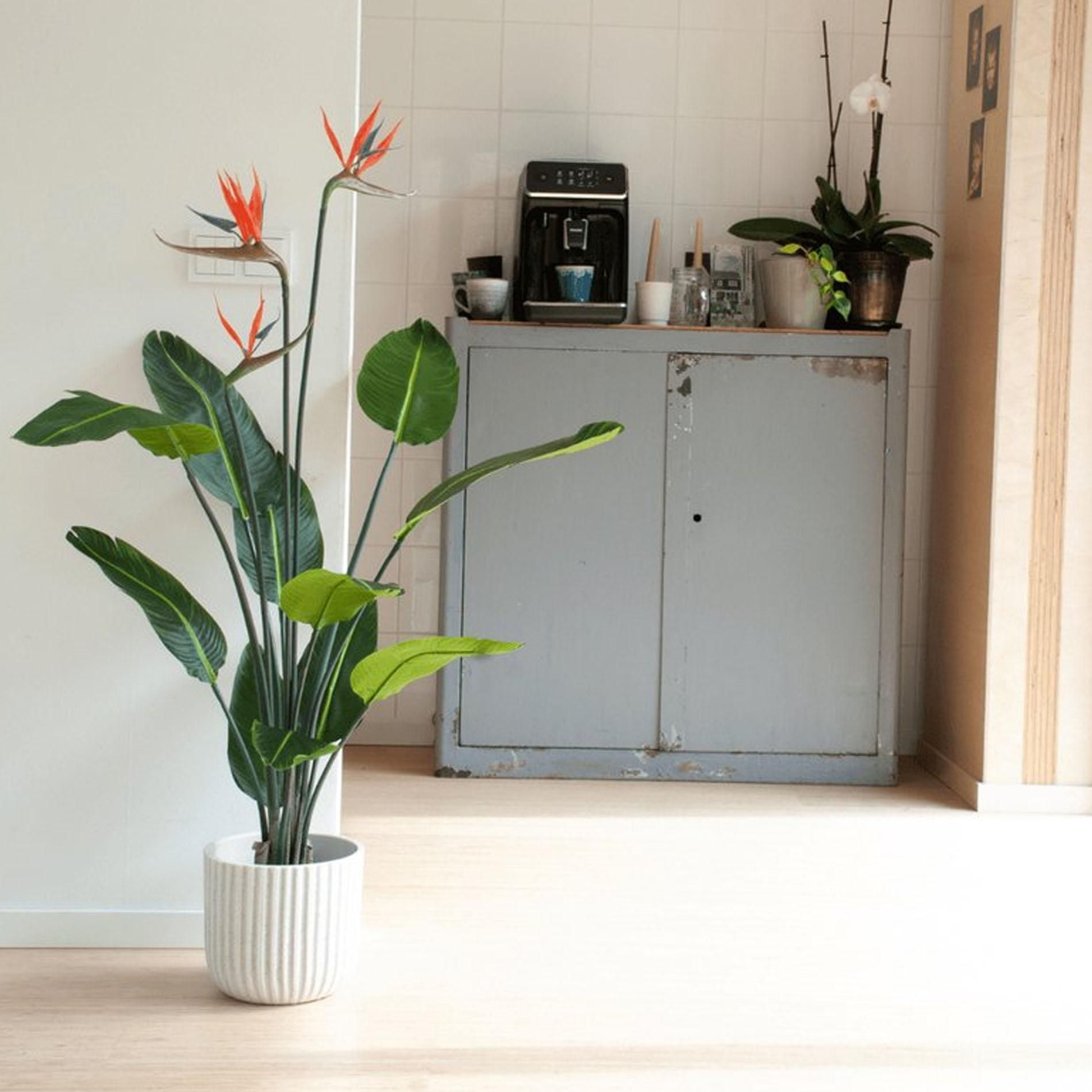 Strelitzia met bloemen - 120cm - In zwarte pot - Kunstplant (8714344308426)