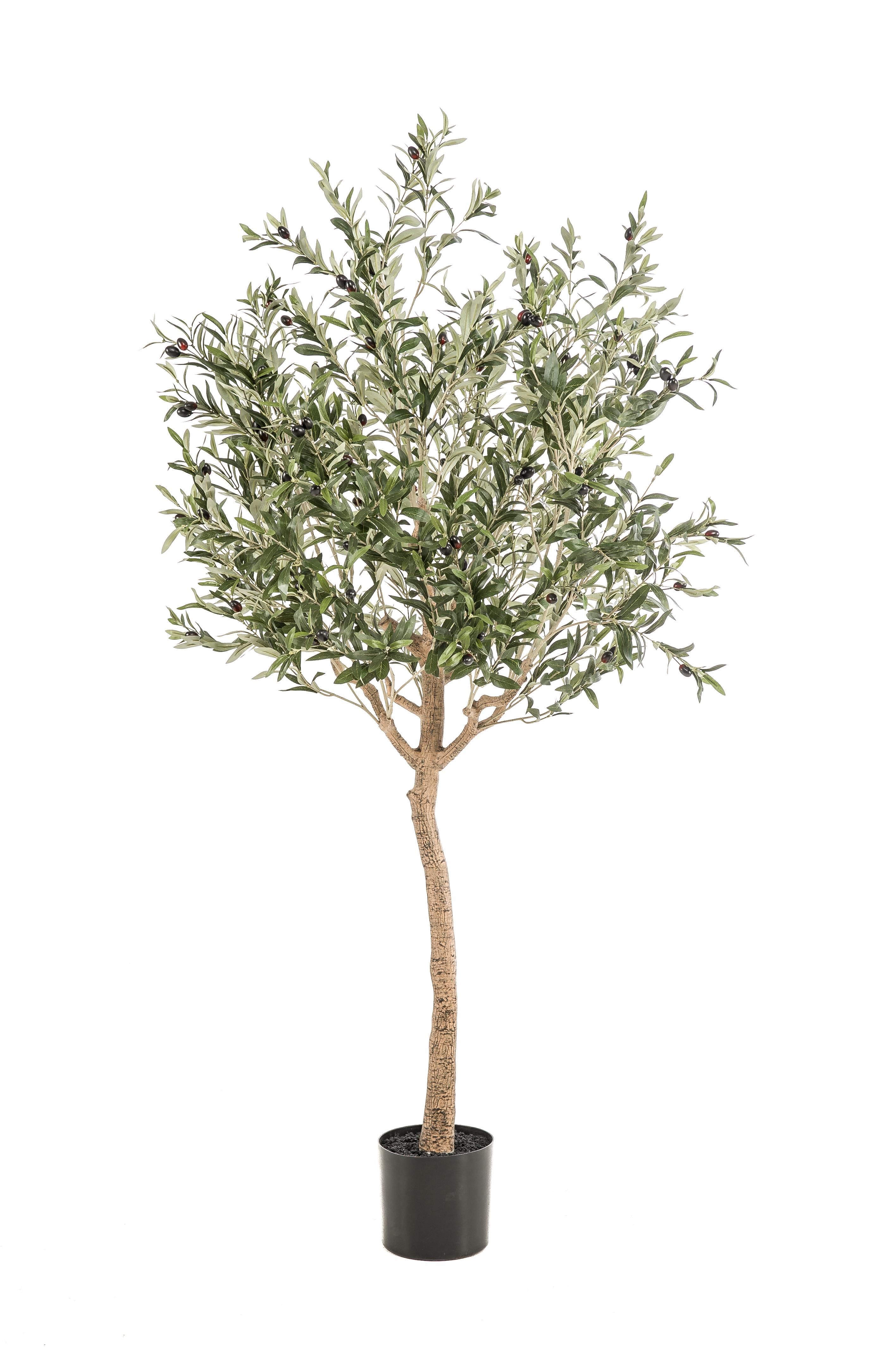 Kunst Olijfboom - Olea europaea - Olijfboom - 180 cm (8720872540542)