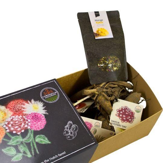Flowerbulbs amsterdam Dutch Dahlia Box L, set van 6 dahlia's + Mango Kokos Thee, geschenk (8720938490842)