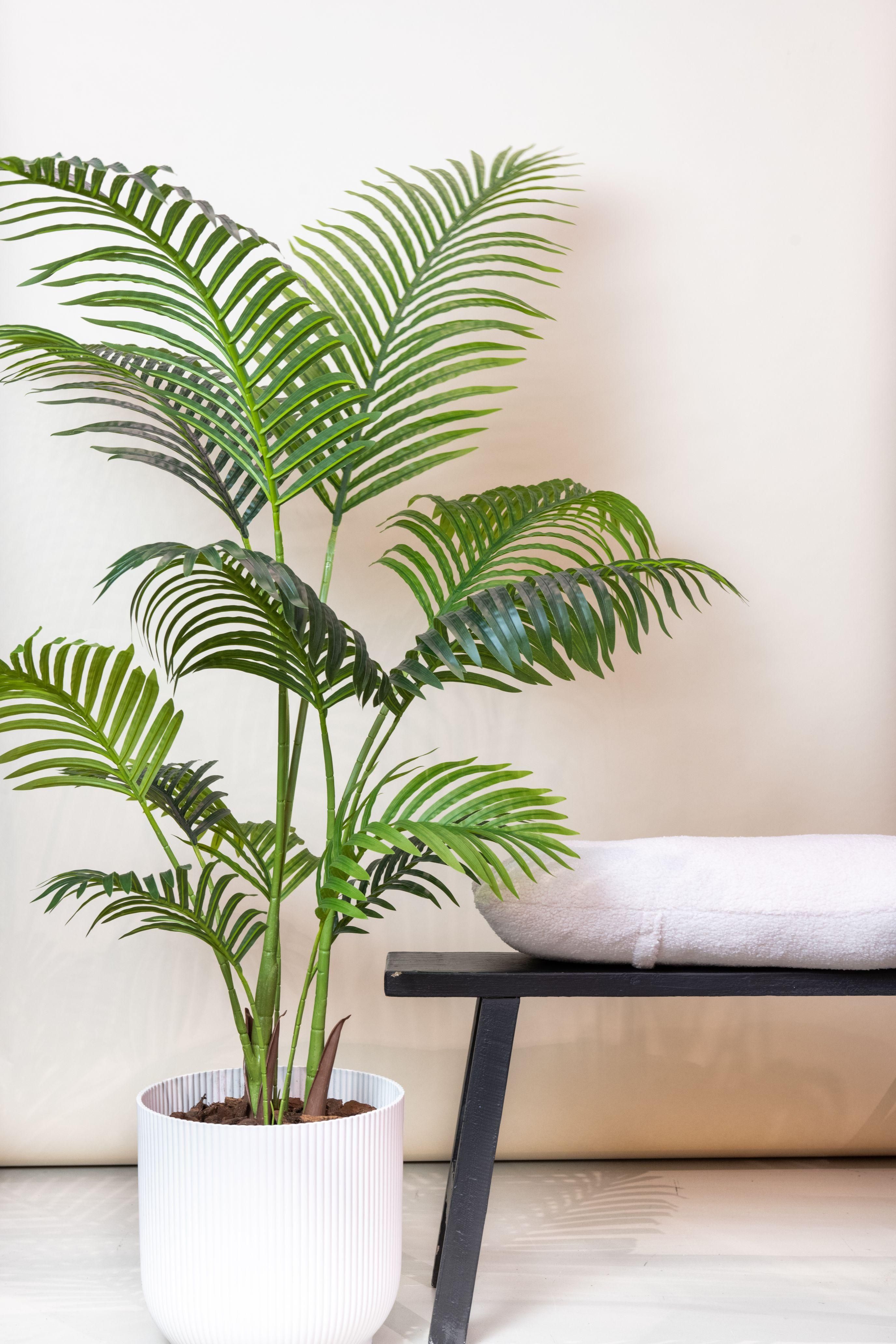 Kunstplant - Howea Forsteriana - 140 cm (8720872540351)