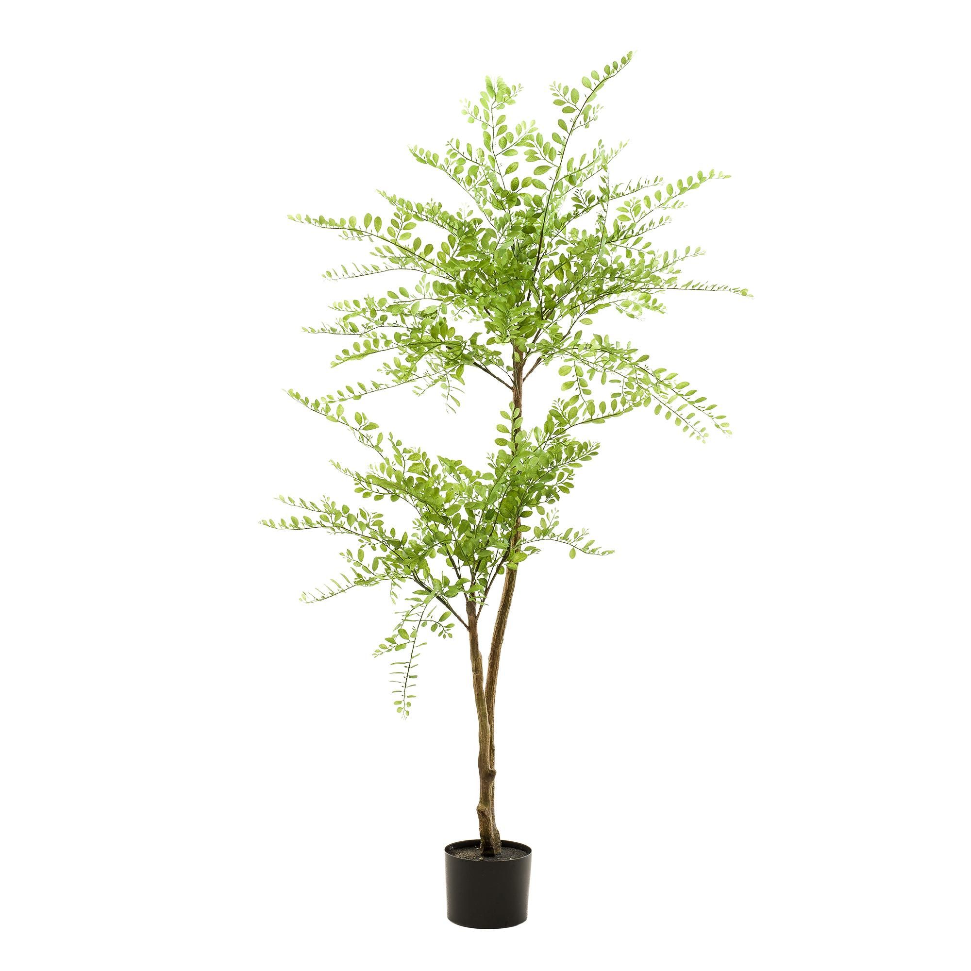 kunstplant - Sophora tree - Honingboom (8720872542256)