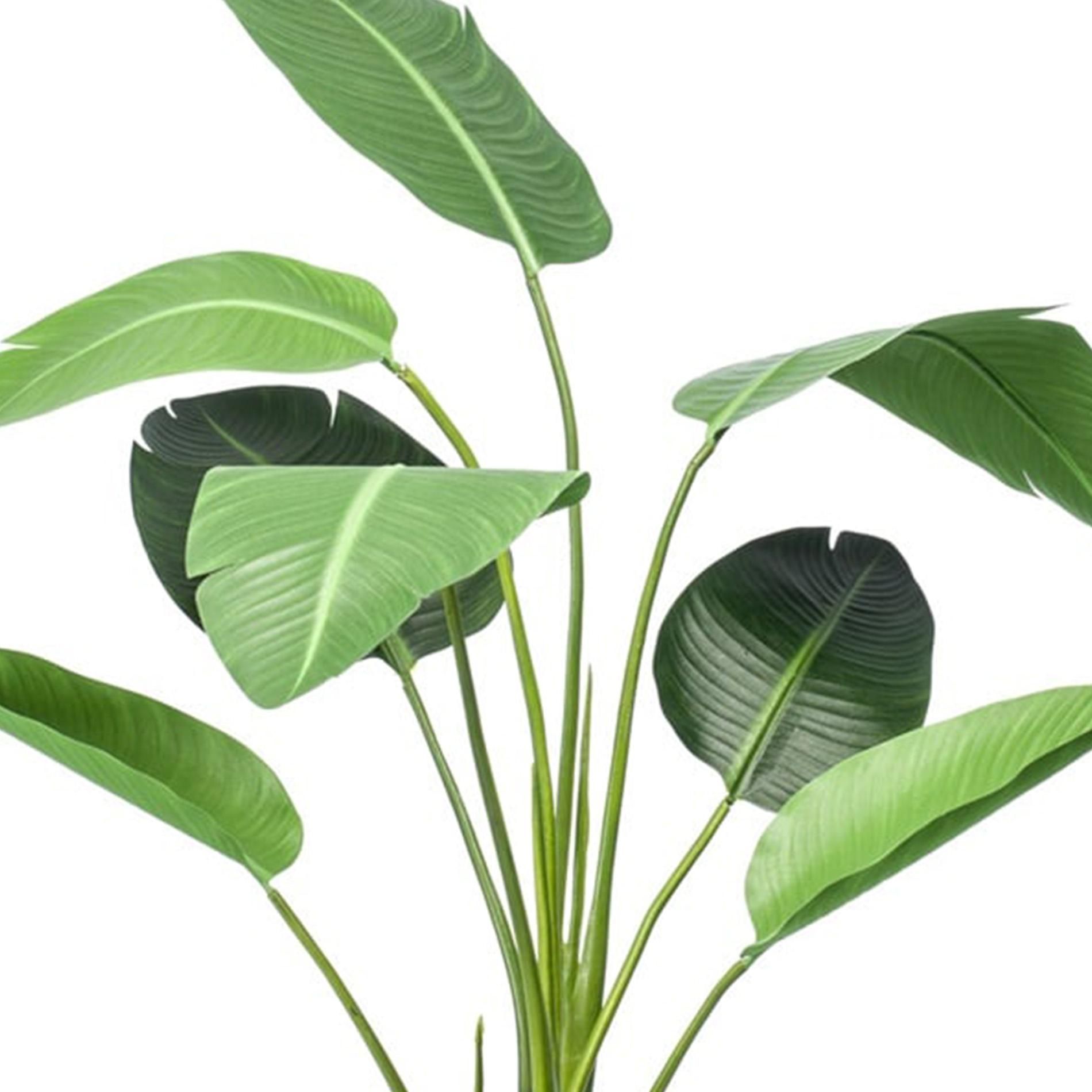 Strelitzia - 120cm - In zwarte pot - Kunstplant (8714344263565)