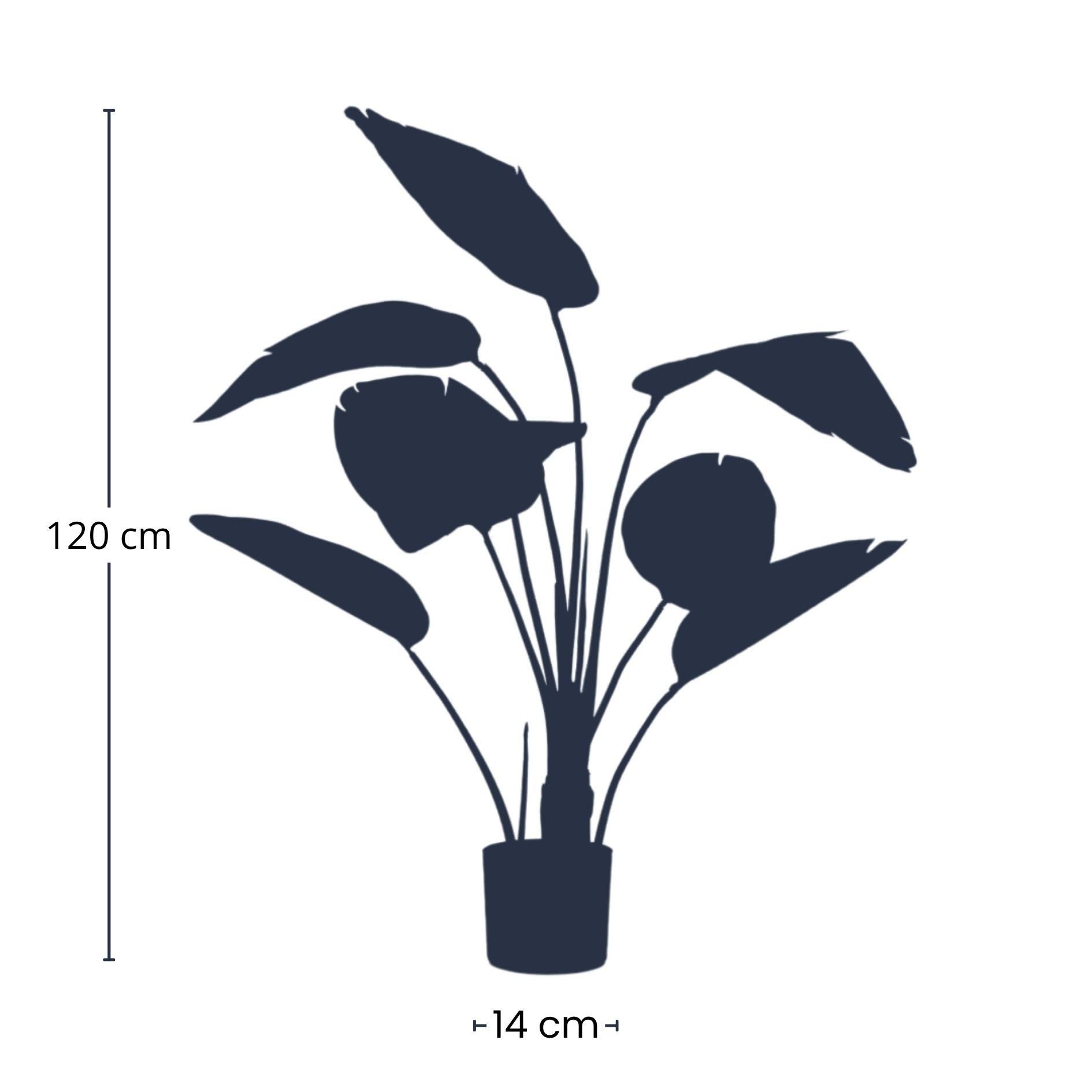 Strelitzia - 120cm - In zwarte pot - Kunstplant (8714344263565)