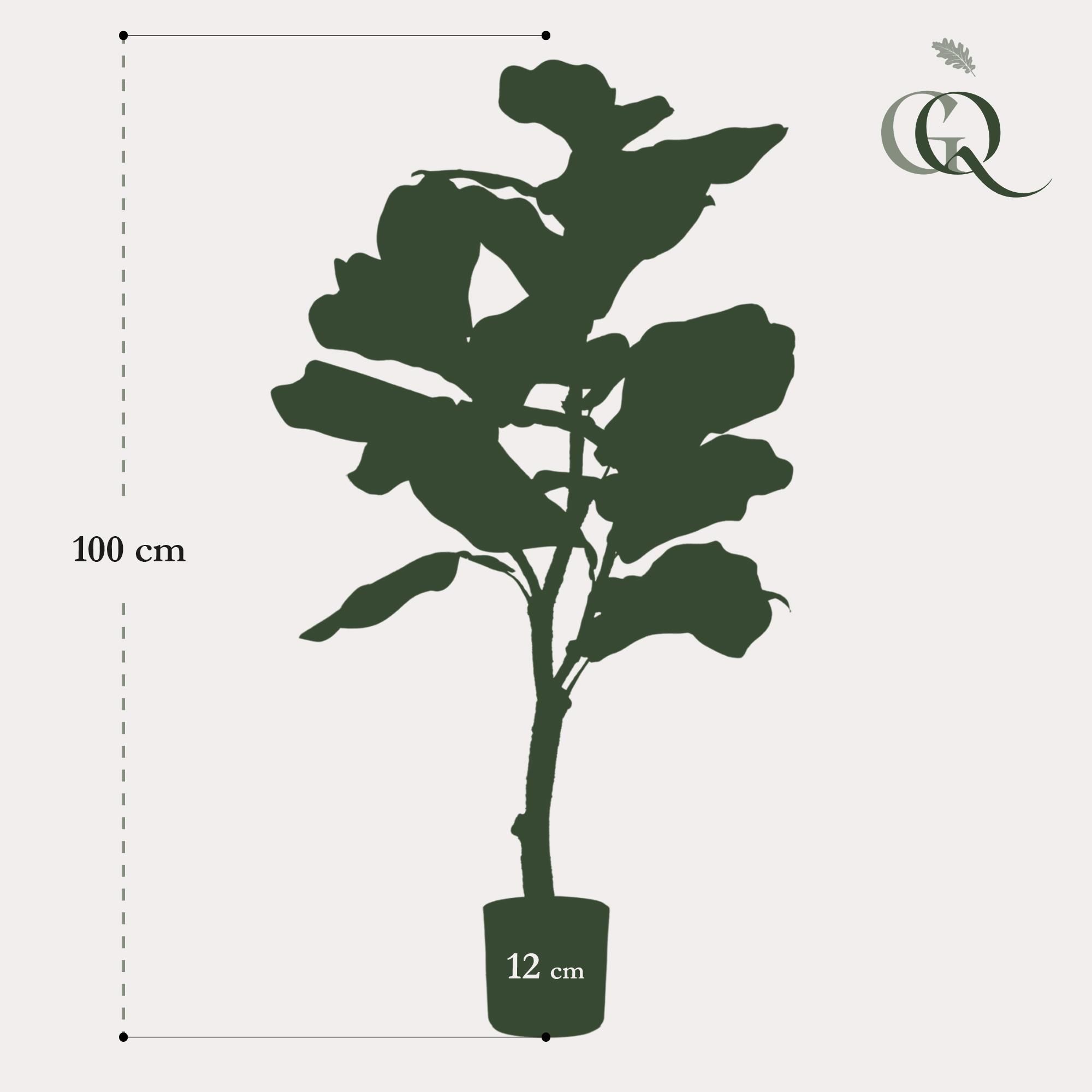 Kunstplant - Ficus Lyrata - Tabaksplant - 90 cm (8720872540337)