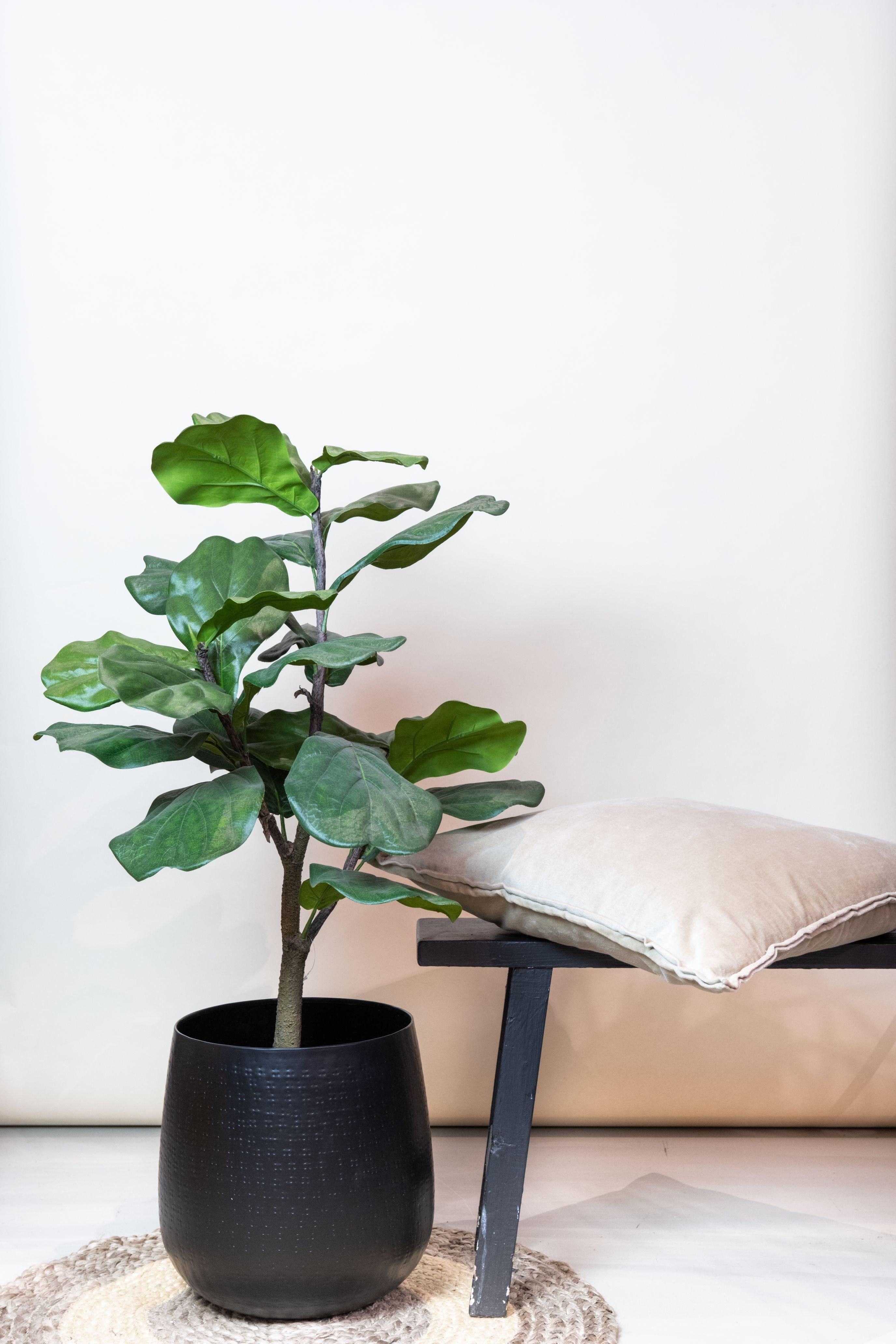 Kunstplant - Ficus Lyrata - Tabaksplant - 90 cm (8720872540337)