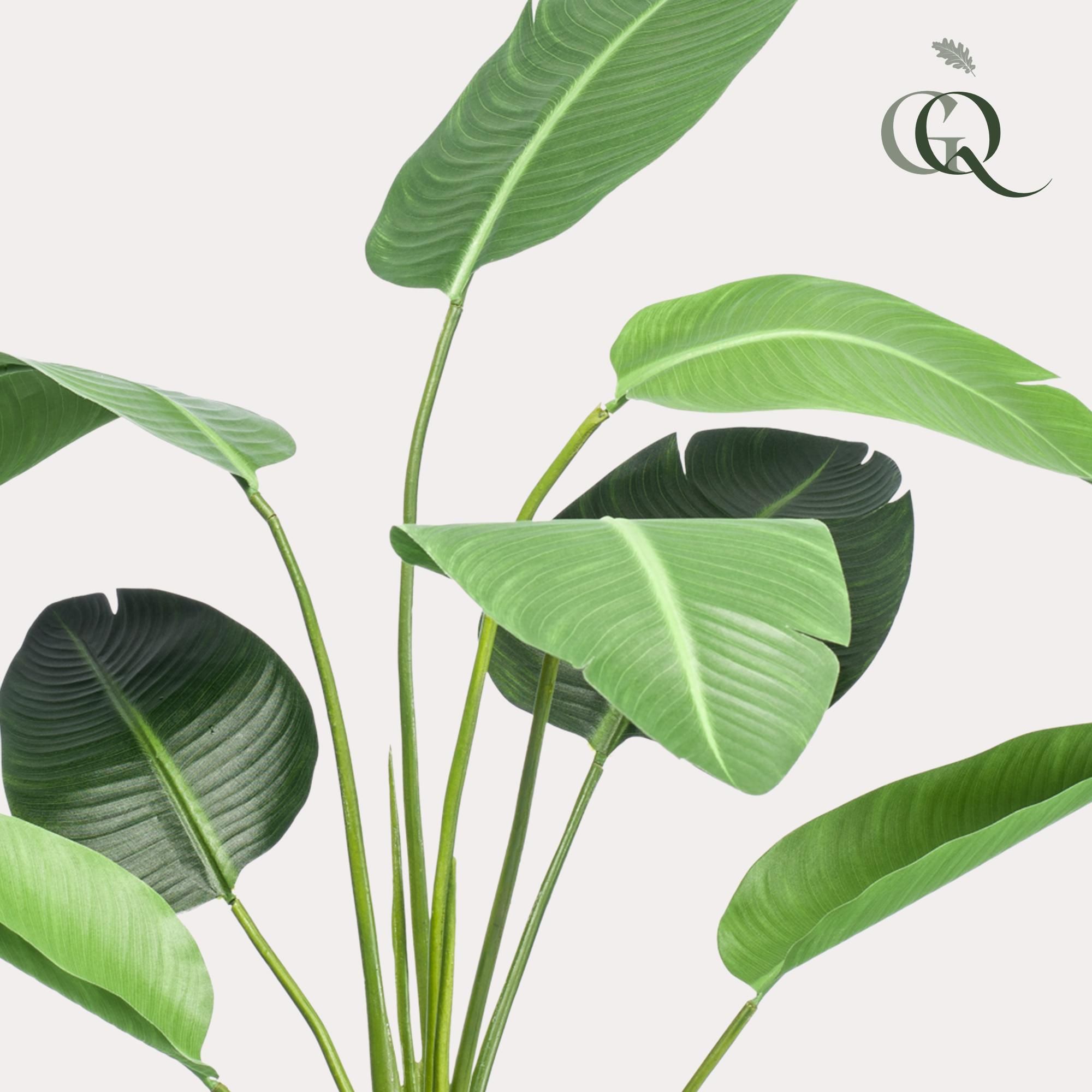 kunstplant - Strelitzia nicolai - Paradijsvogelbloem (8720872542317)