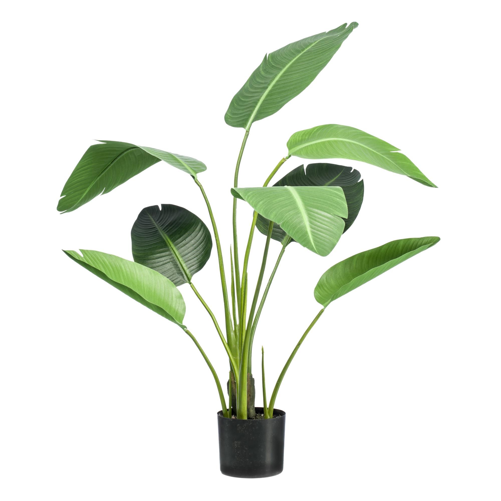 kunstplant - Strelitzia nicolai - Paradijsvogelbloem (8720872542317)