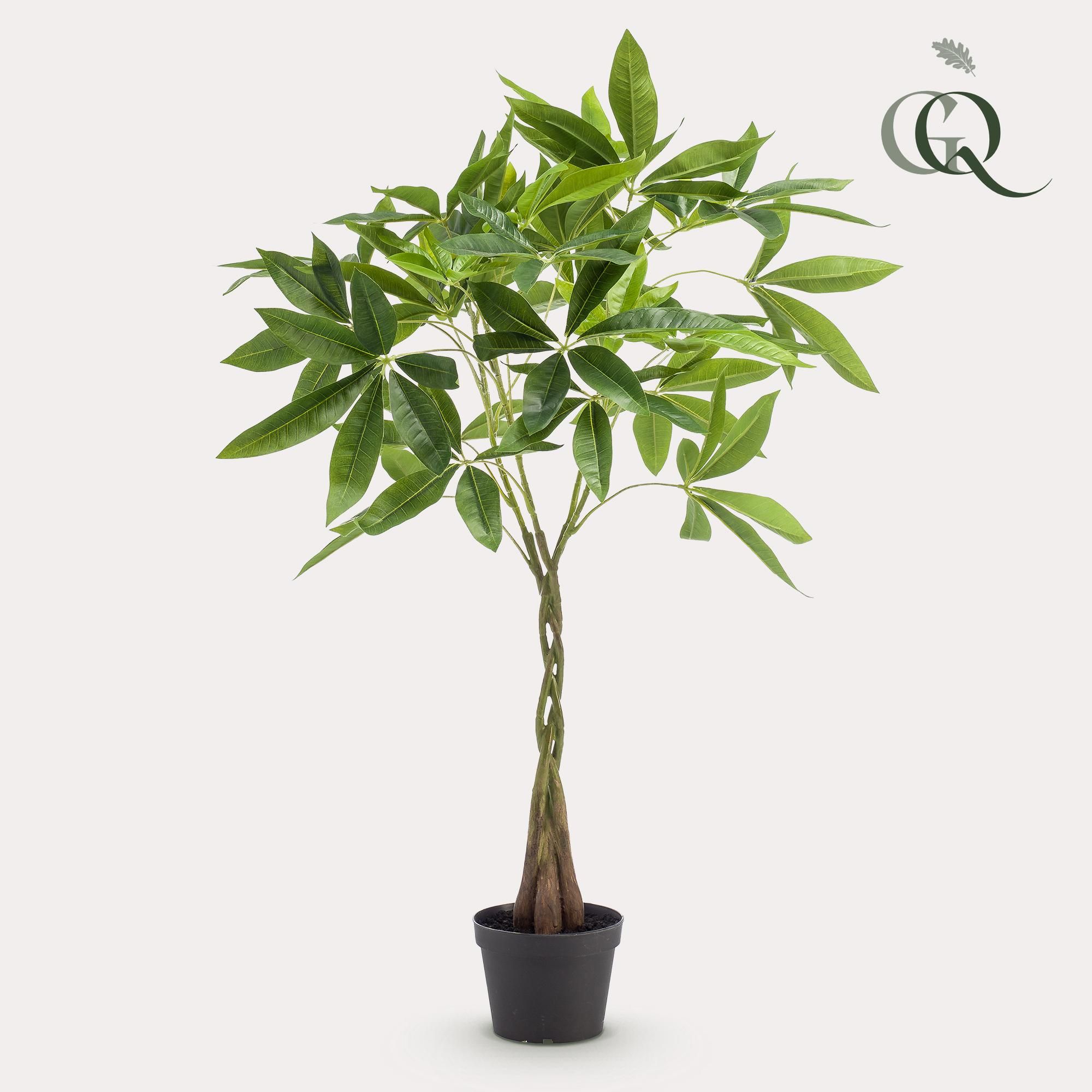 kunstplant - Pachira aquatica - Geldboom (8720872542300)