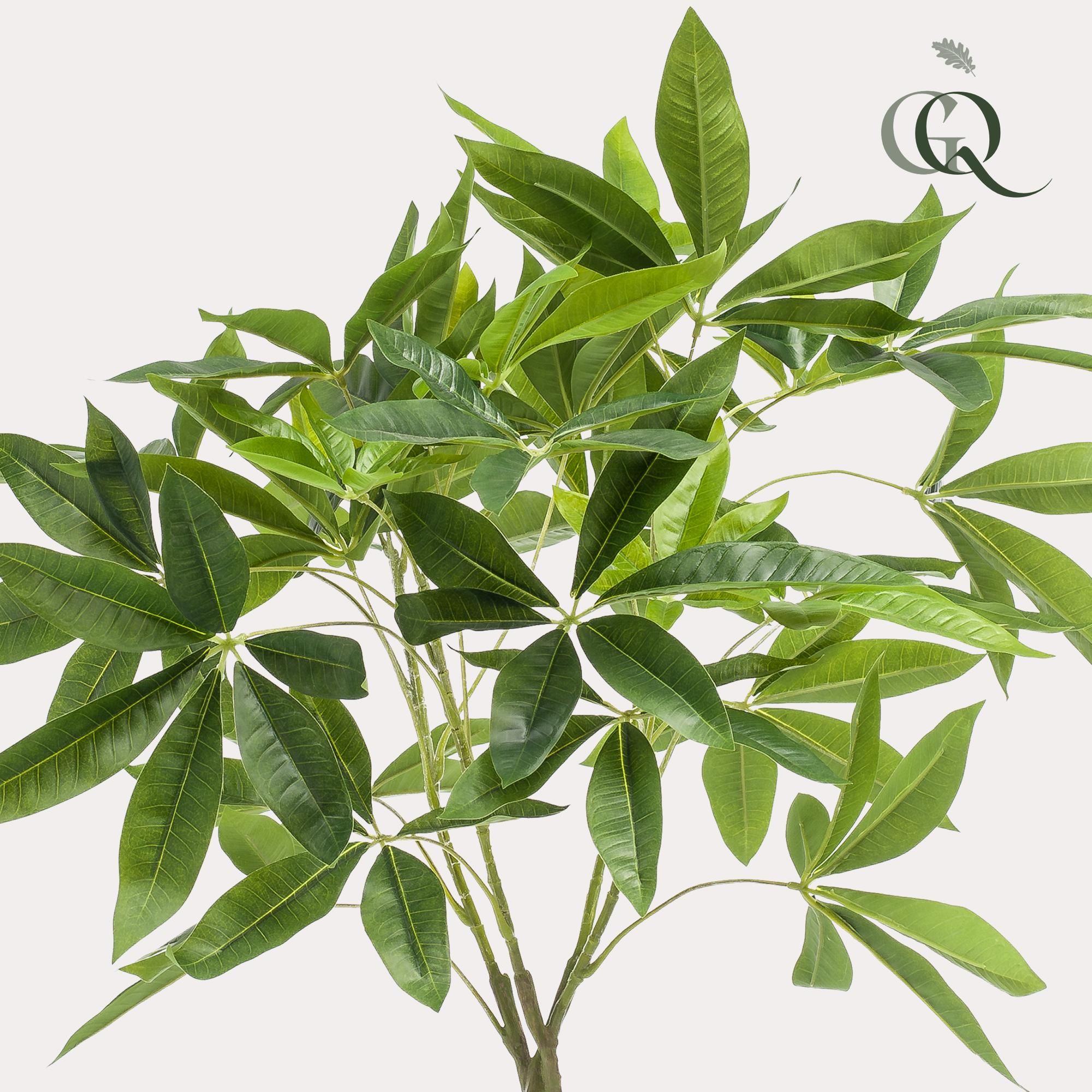 kunstplant - Pachira aquatica - Geldboom (8720872542300)