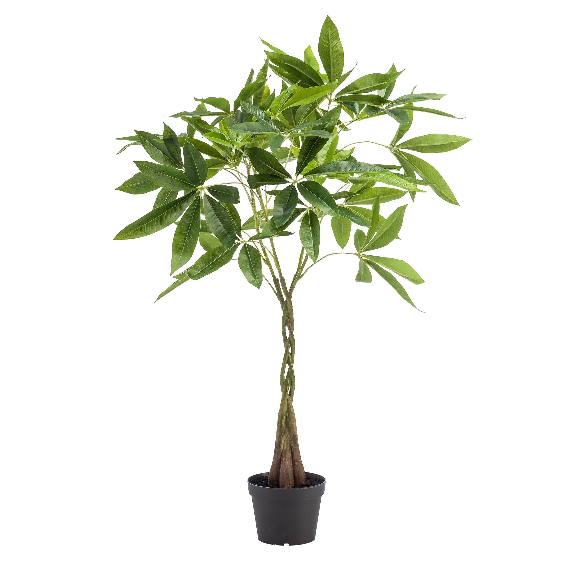 kunstplant - Pachira aquatica - Geldboom (8720872542300)