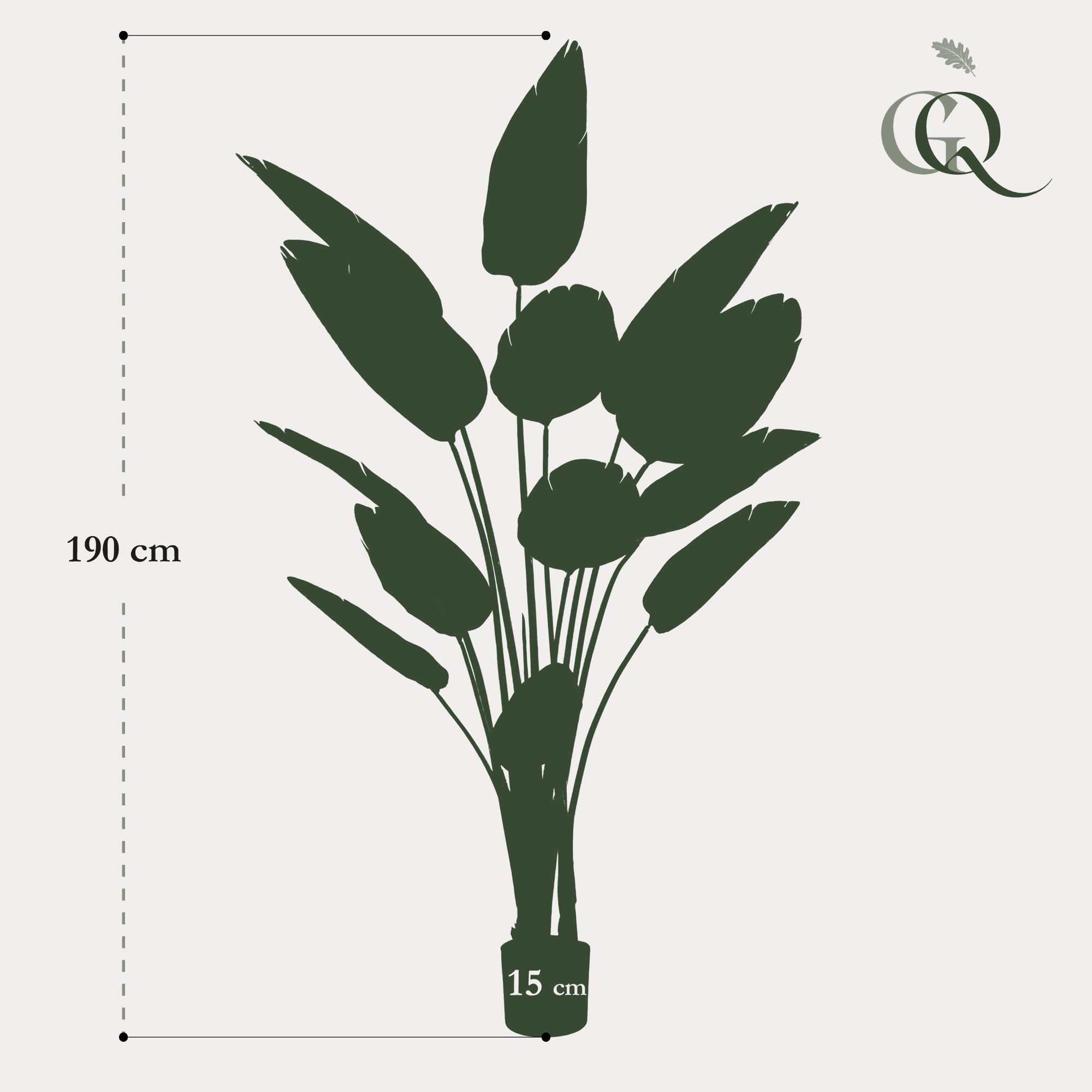 Kunstplant - Strelitzia Nicolai - Paradijsvogelbloem - 190 cm (8720872540795)