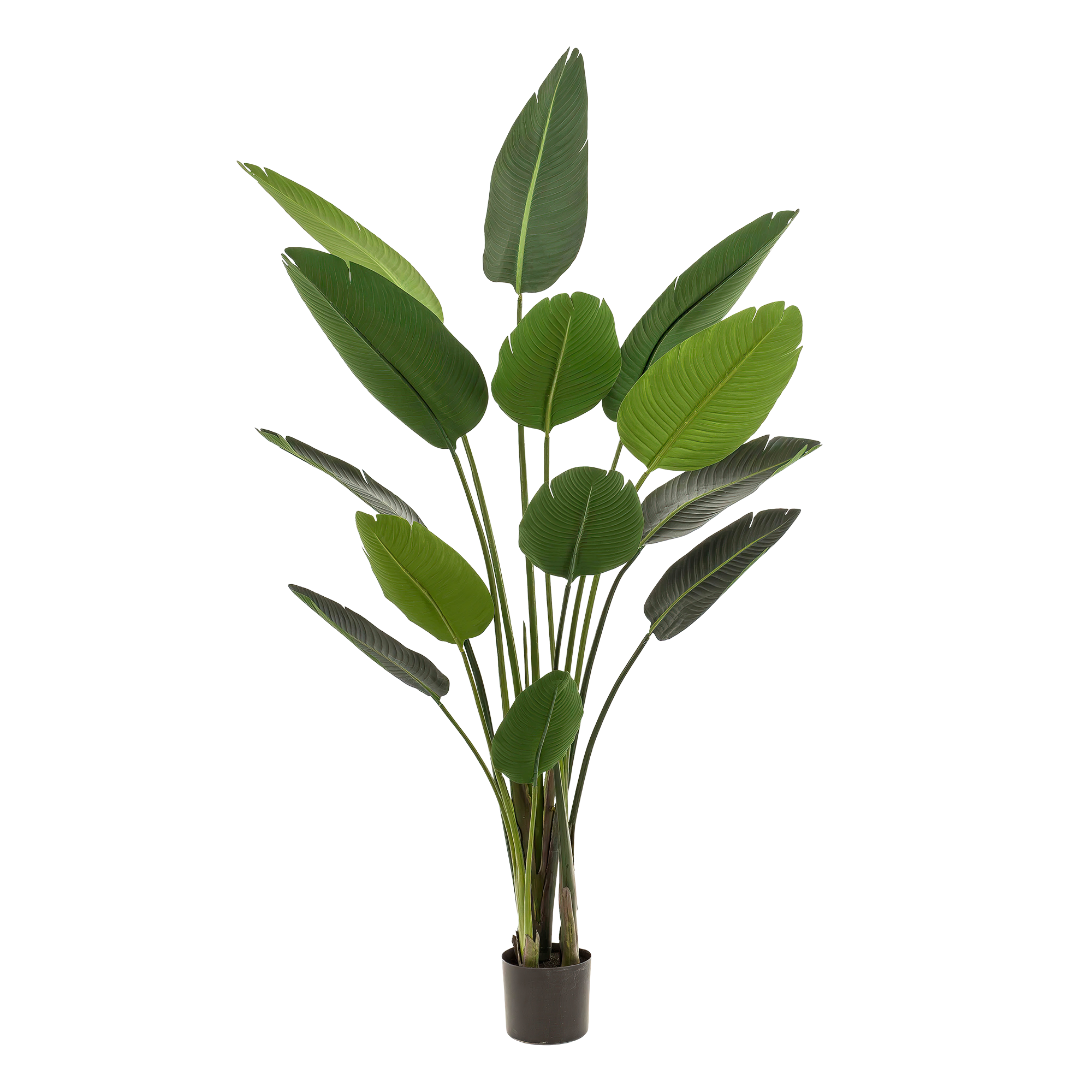 Kunstplant - Strelitzia Nicolai - Paradijsvogelbloem - 190 cm (8720872540795)