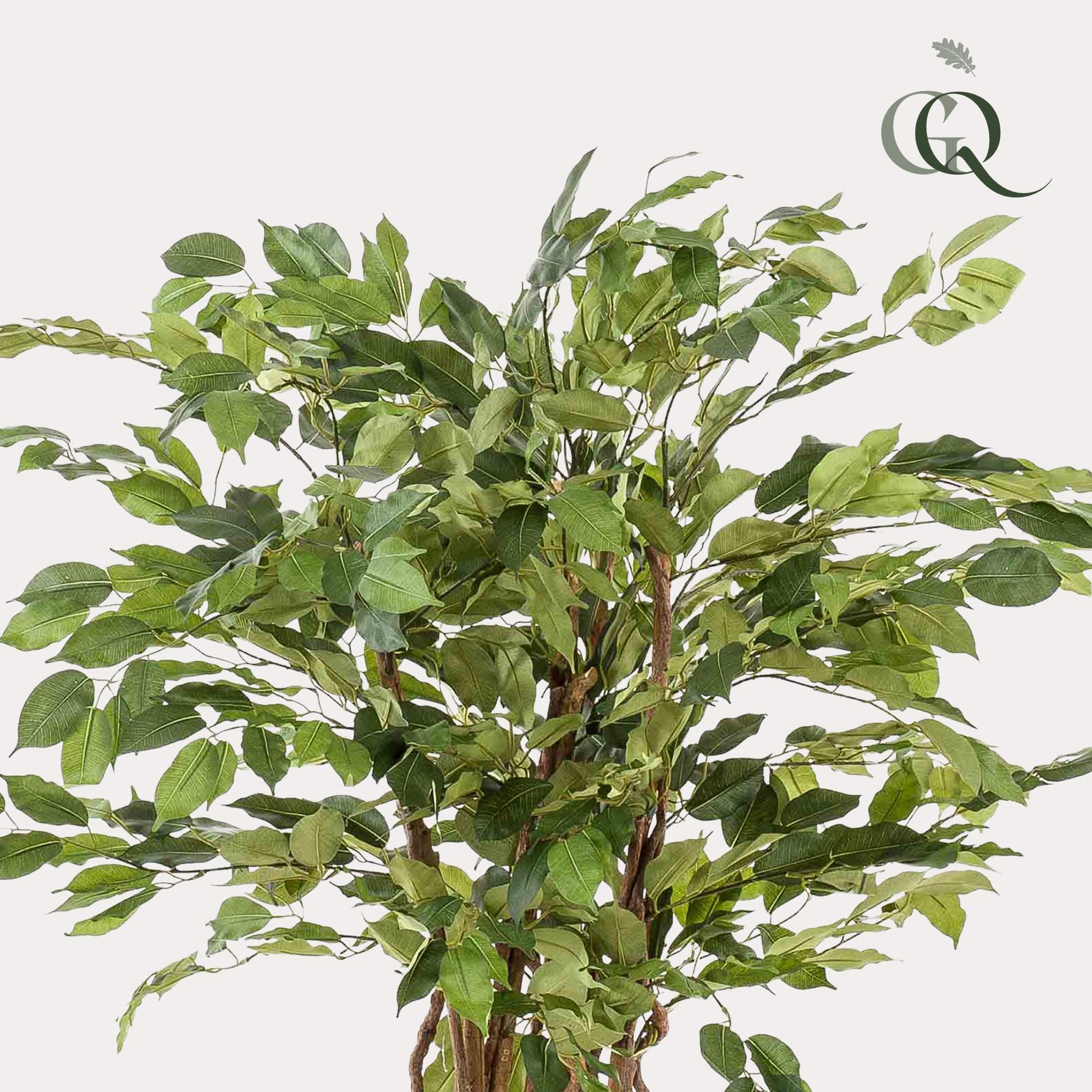kunstplant - Ficus liana - Vioolbladplant (8720872542232)