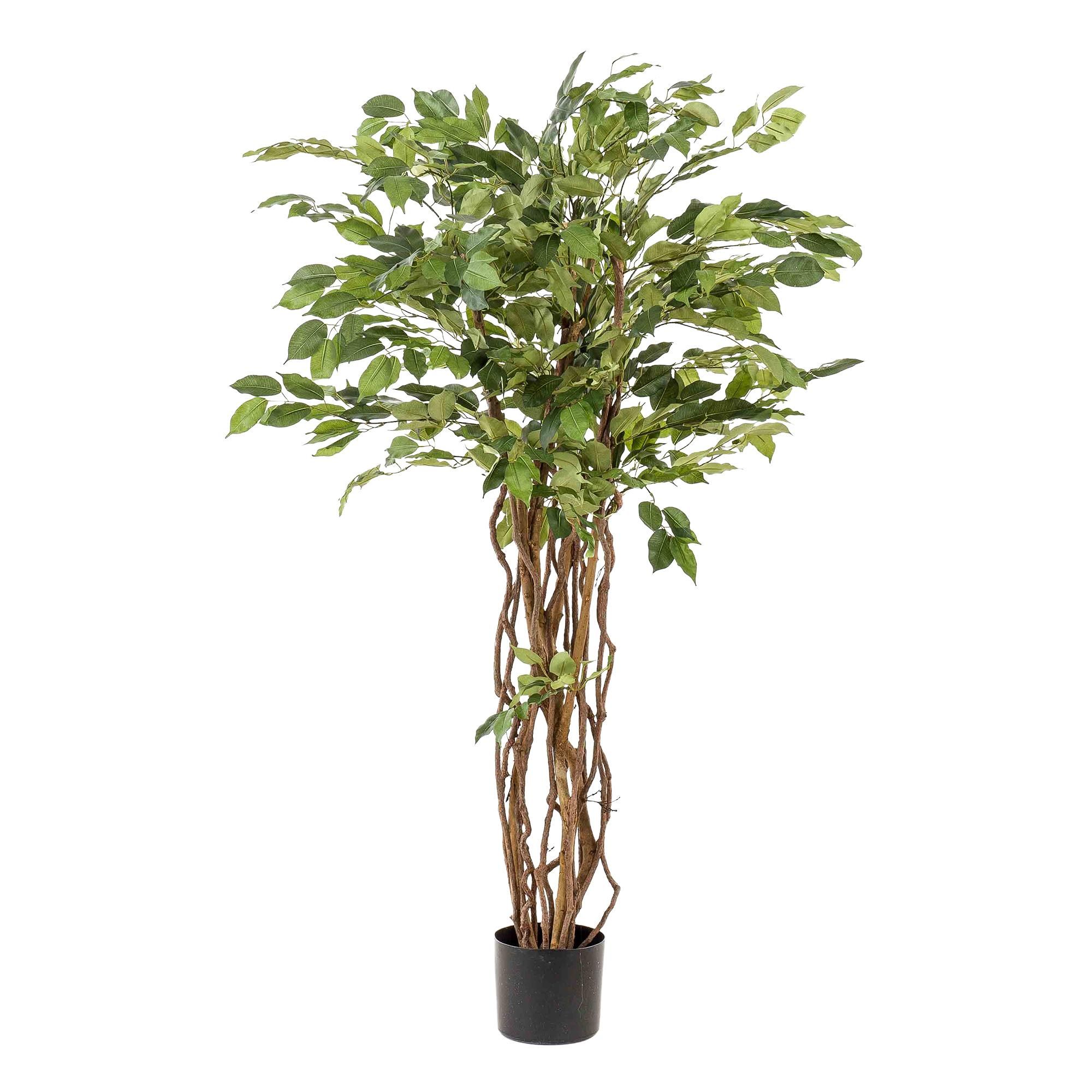 kunstplant - Ficus liana - Vioolbladplant (8720872542232)