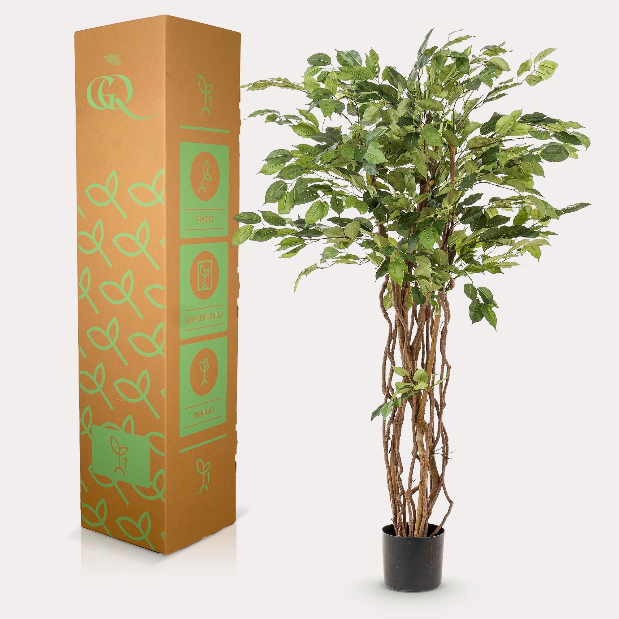 kunstplant - Ficus liana - Vioolbladplant (8720872542232)