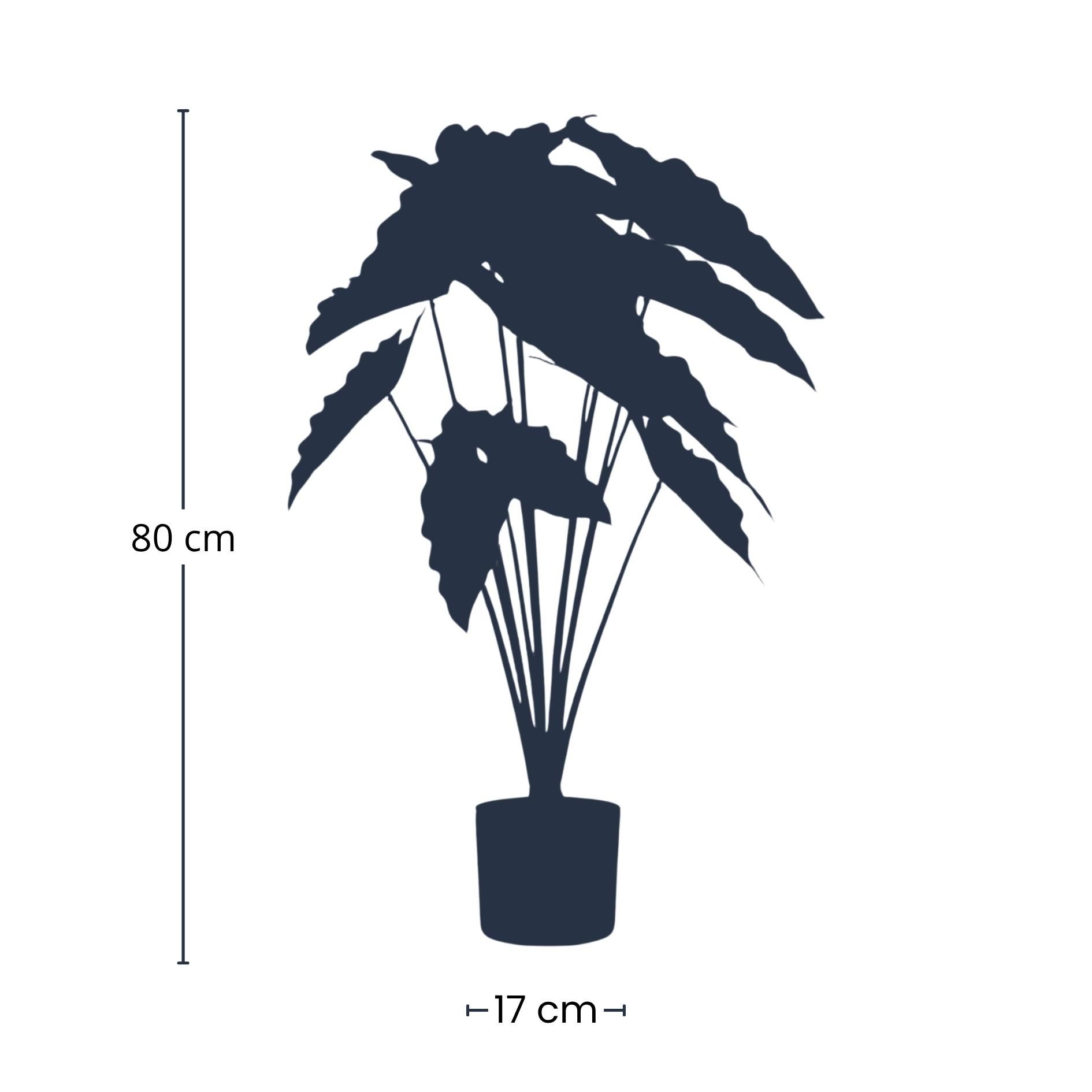 Alocasia 80cm - Kunstplant (08714344298581)