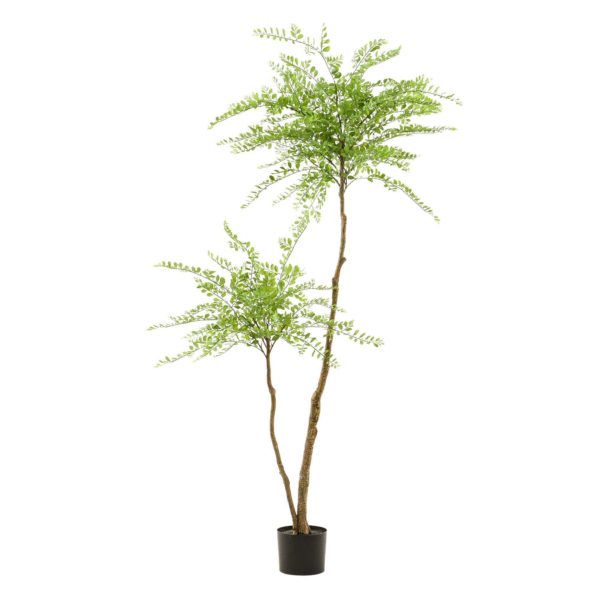 kunstplant - Sophora tree - Honingboom (8720872542270)