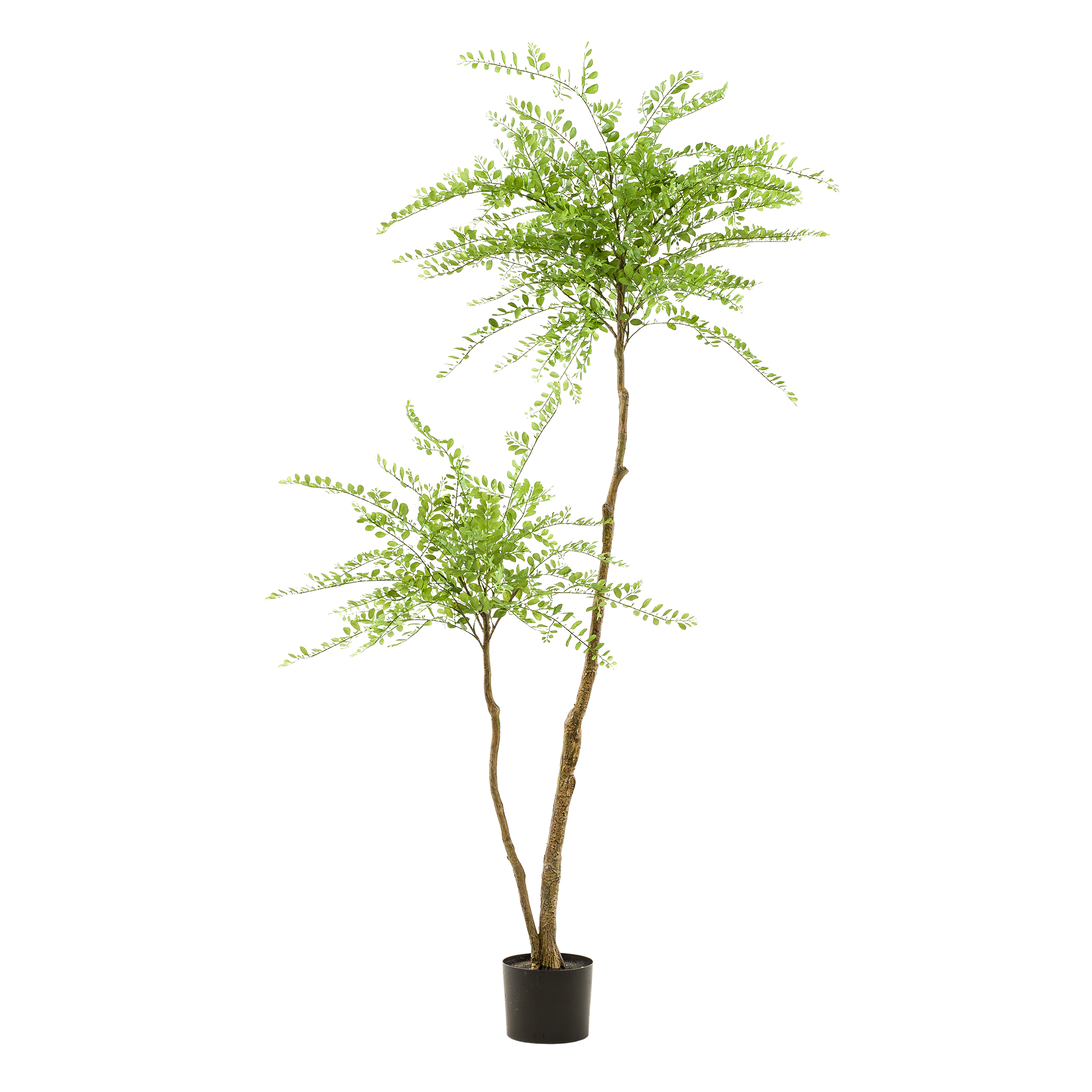 kunstplant - Sophora tree - Honingboom (8720872542270)