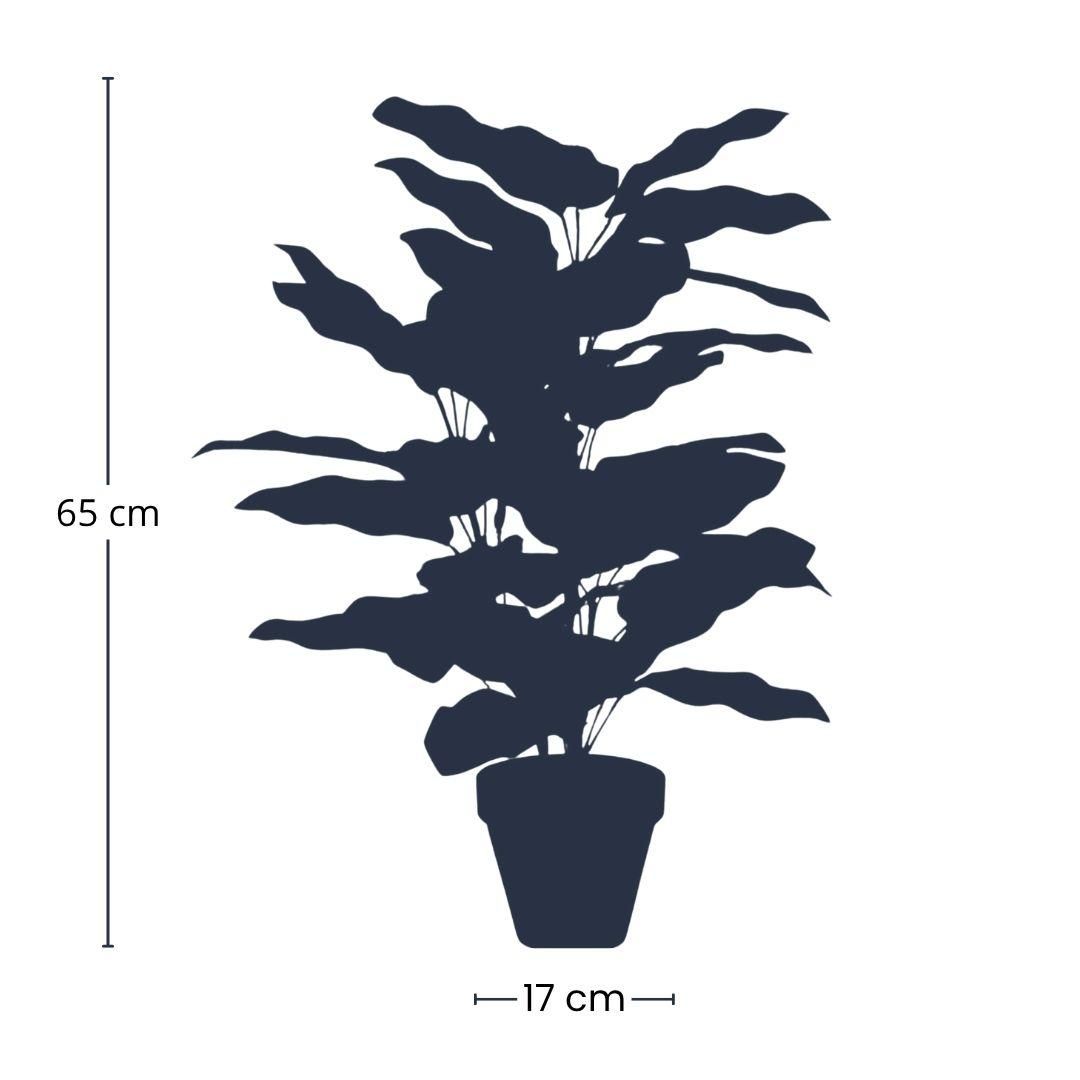 Calathea in pot - 65 cm hoog - Kunstplant (8714344529227)