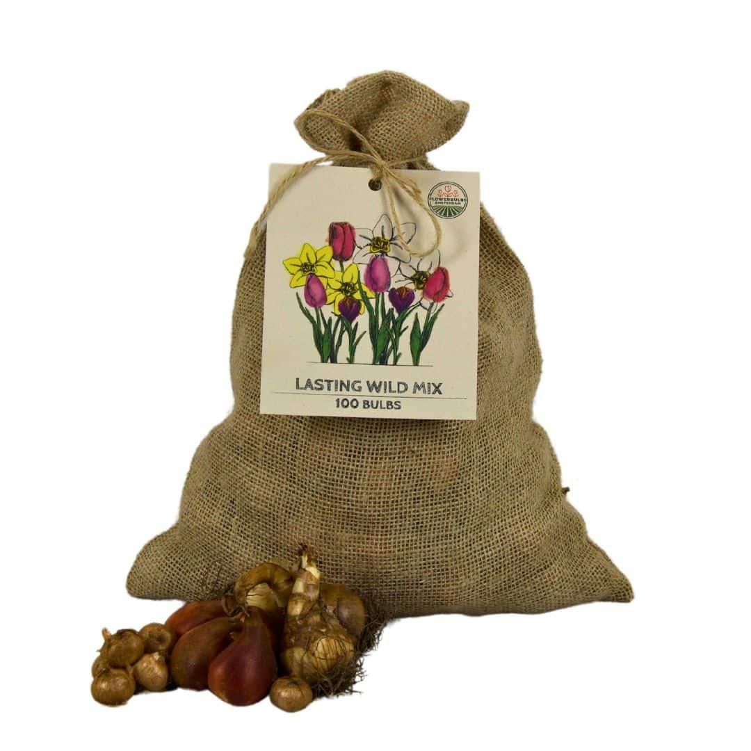 Flowerbulbs amsterdam Super Lasting Wild Mix - Duurzame voordeelzak, 100 bloembollen voor 2,5 m2 bloemenpracht (8720938490927)