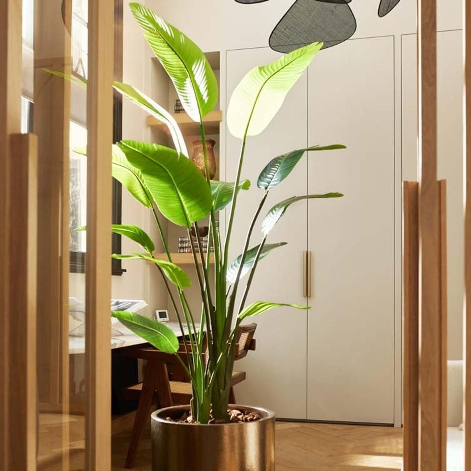 Strelitzia nicolai - 180 cm - In zwarte pot - Kunstplant (8714344333350)