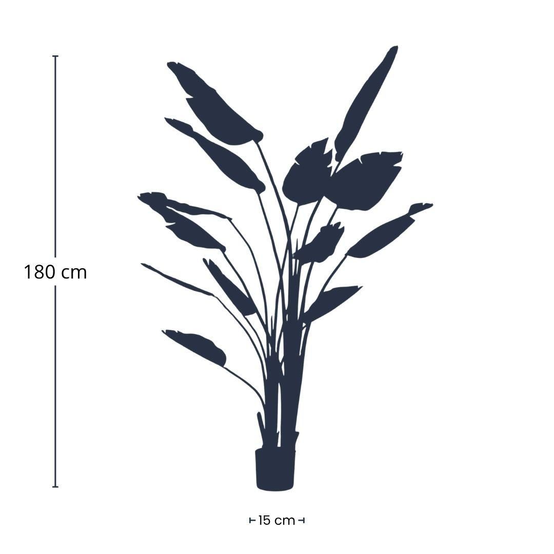 Strelitzia nicolai - 180 cm - In zwarte pot - Kunstplant (8714344333350)