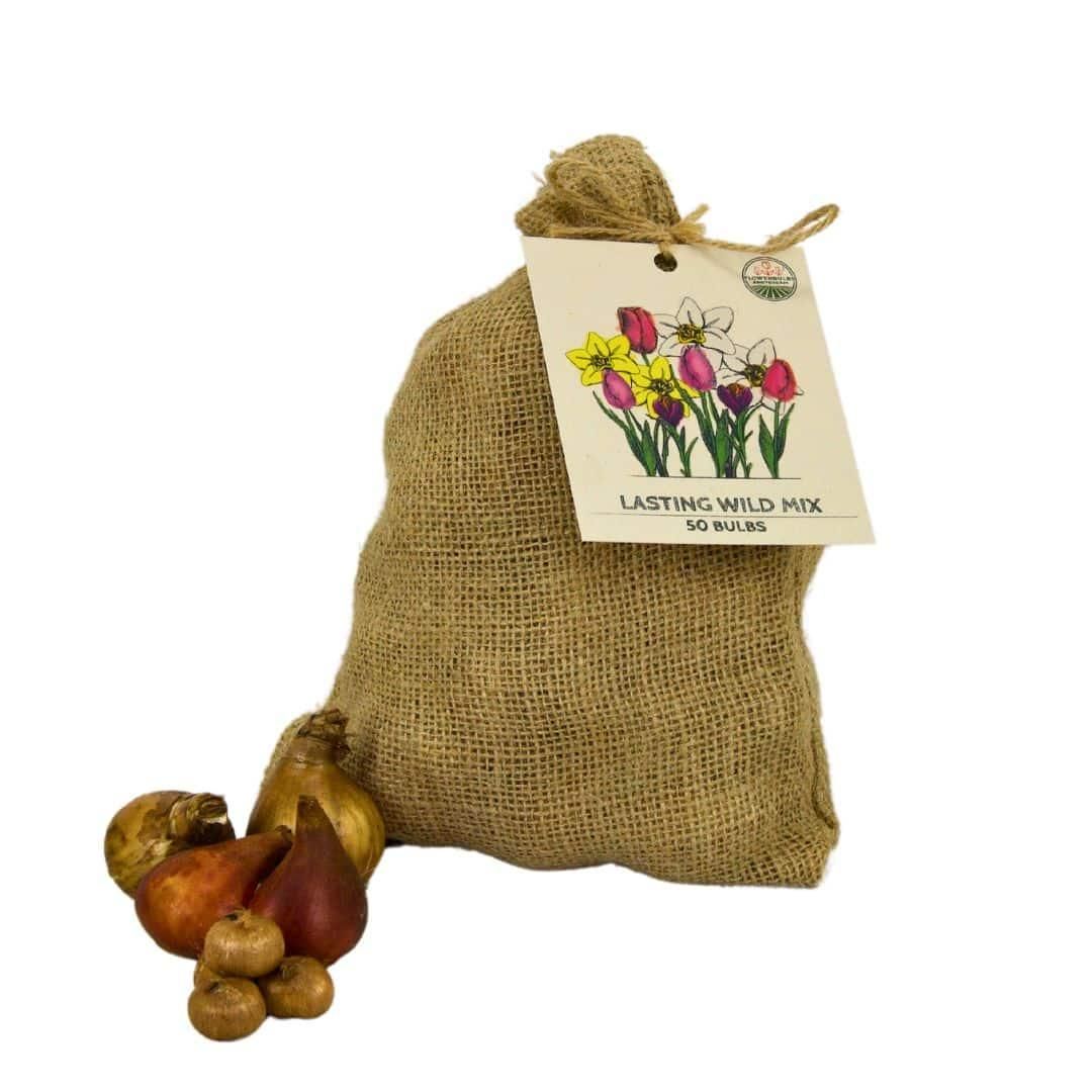 Flowerbulbs amsterdam Medium Lasting Wild Mix - Duurzame voordeelzak, 50 bloembollen voor 1 m2 bloemenpracht (8720938490910)