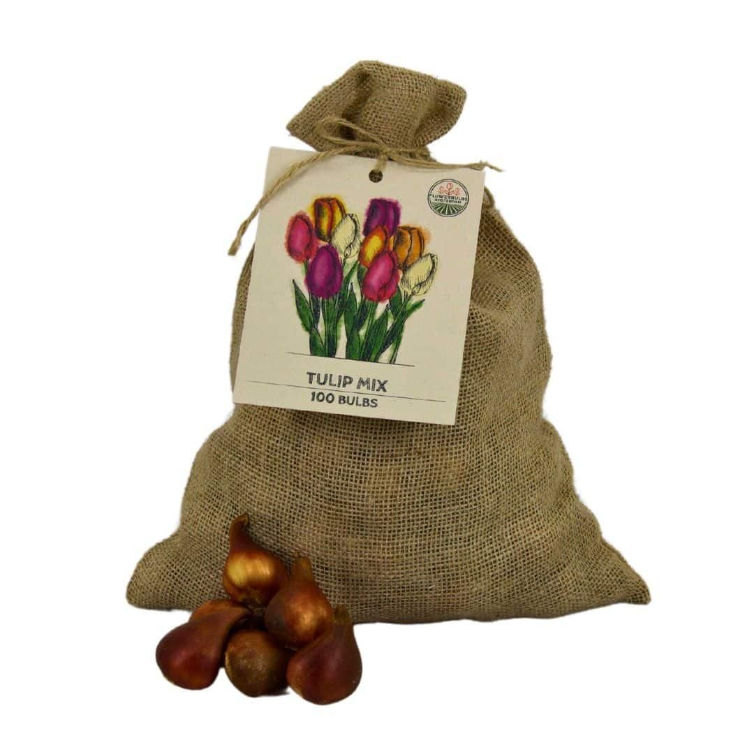 Flowerbulbs amsterdam Super Tulip Mix - Duurzame voordeelzak, 100 bloembollen voor 2,5 m2 bloemenpracht - Maat 12+ (8720938490866)