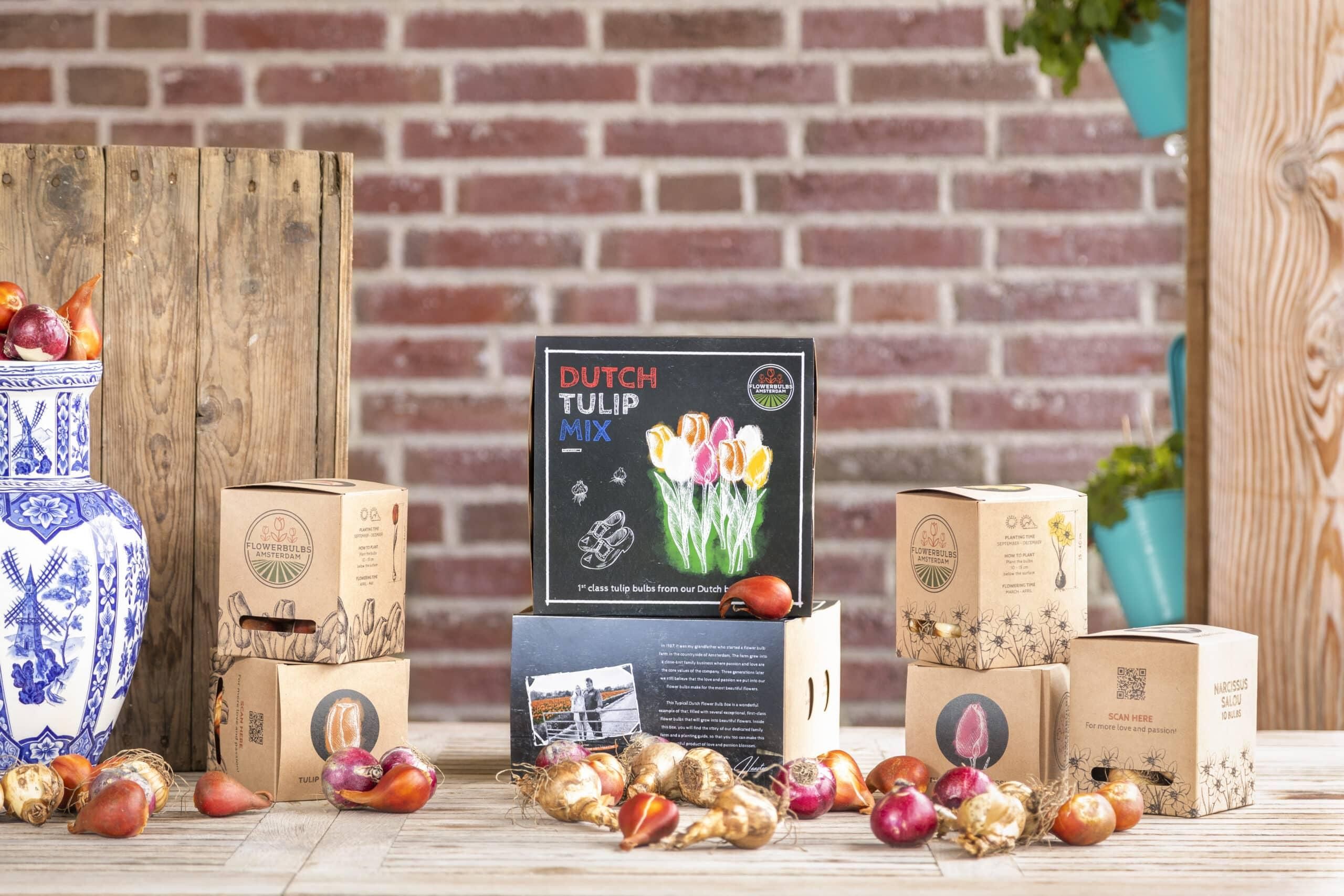 Flowerbulbs amsterdam Dutch Tulip Mix - Luxe box medium, 40 bloembollen voor 1 m2 bloemenpracht - Maat 12+ (8720938490163)