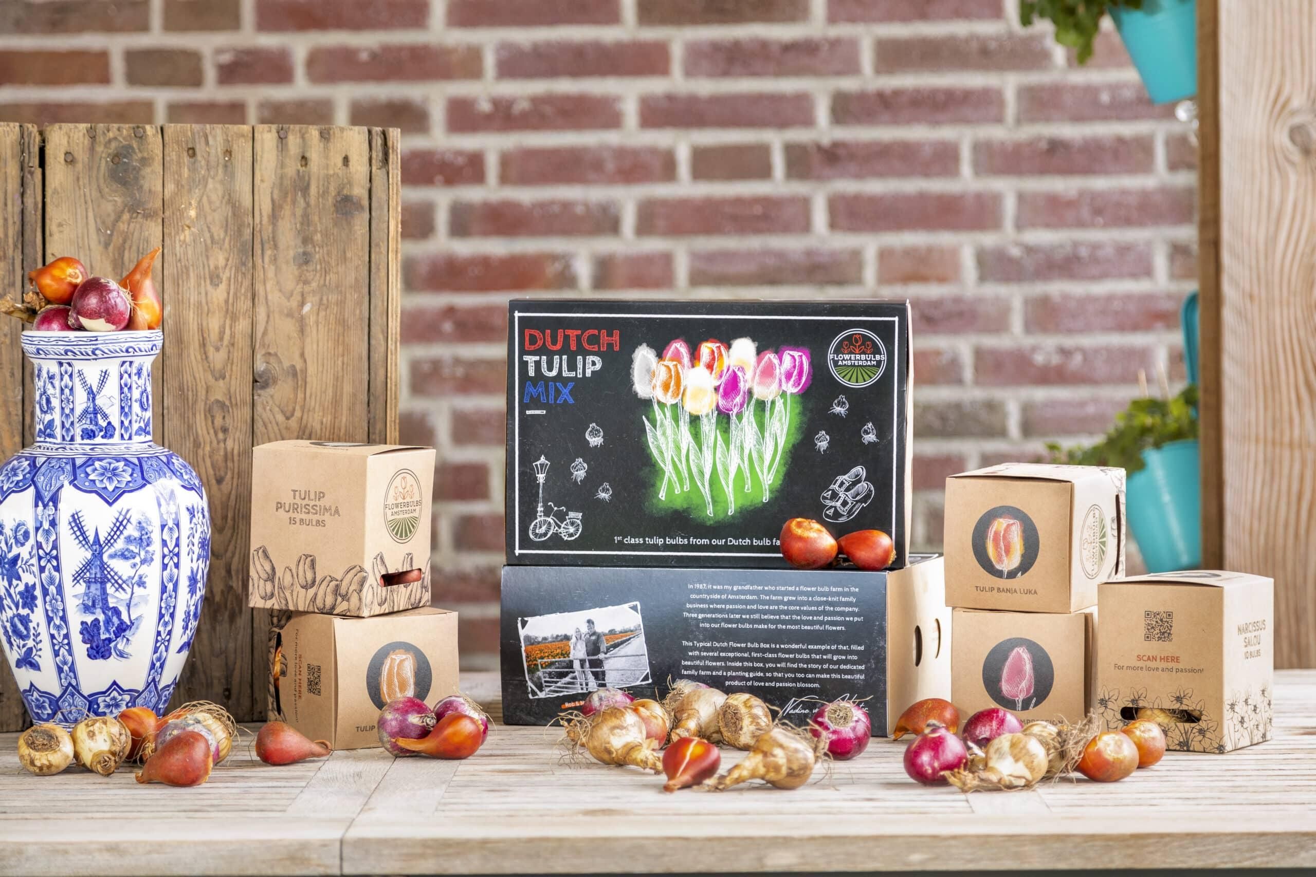 Flowerbulbs amsterdam Dutch Tulip Mix - Luxe box large, 90 bloembollen voor 2,5 m2 bloemenpracht - Maat 12+ (8720938490187)