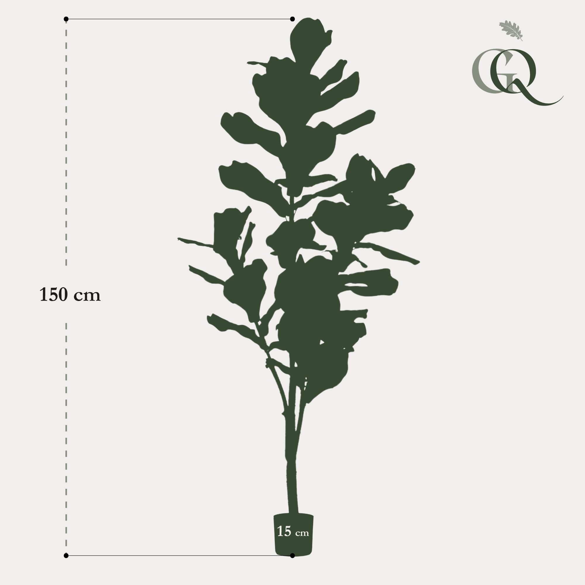kunstplant - Ficus Lyrata - Tabaksplant (8720872542287)