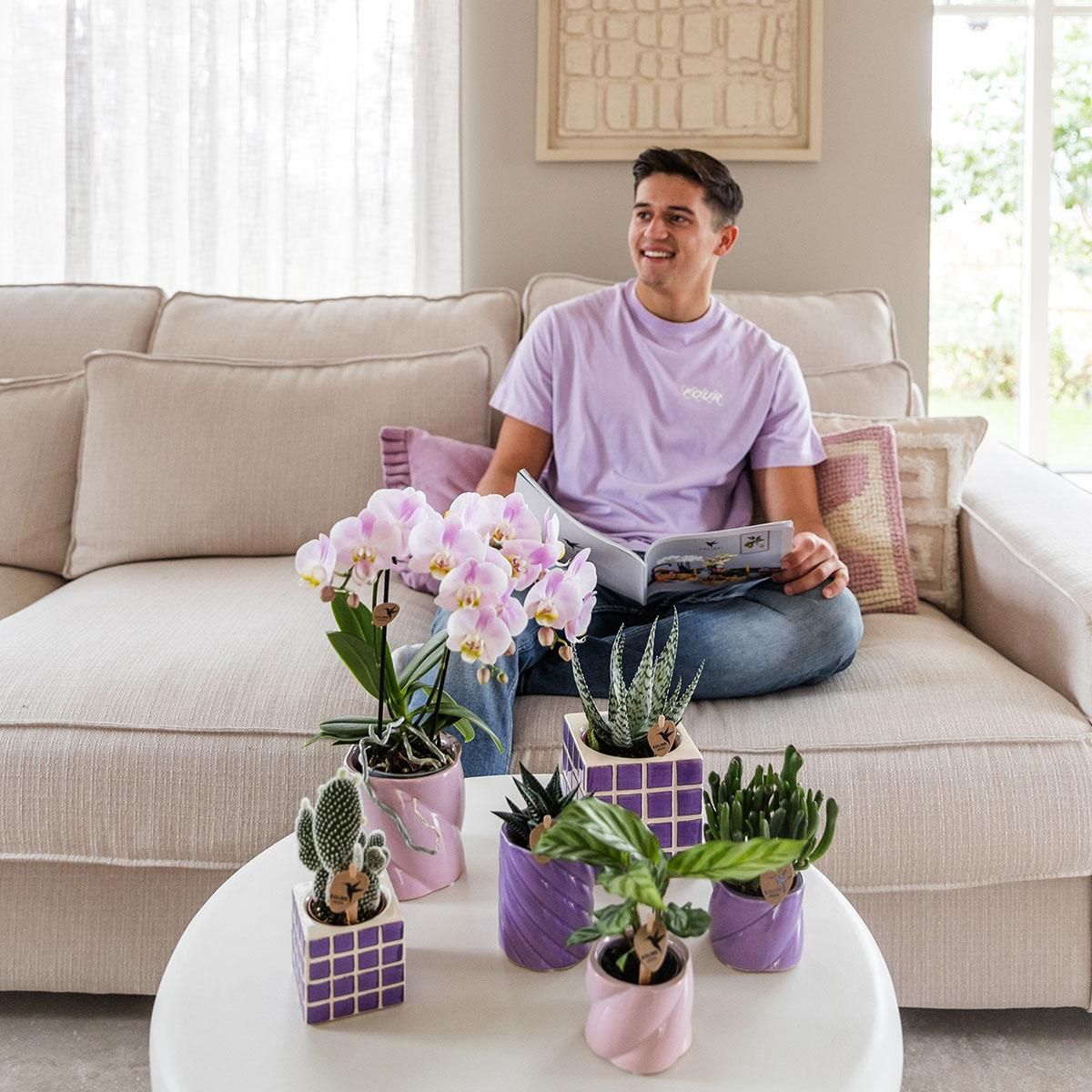 Paarse phalaenopsis orchidee El Salvador + Mosa sierpot lila (8785279223320)